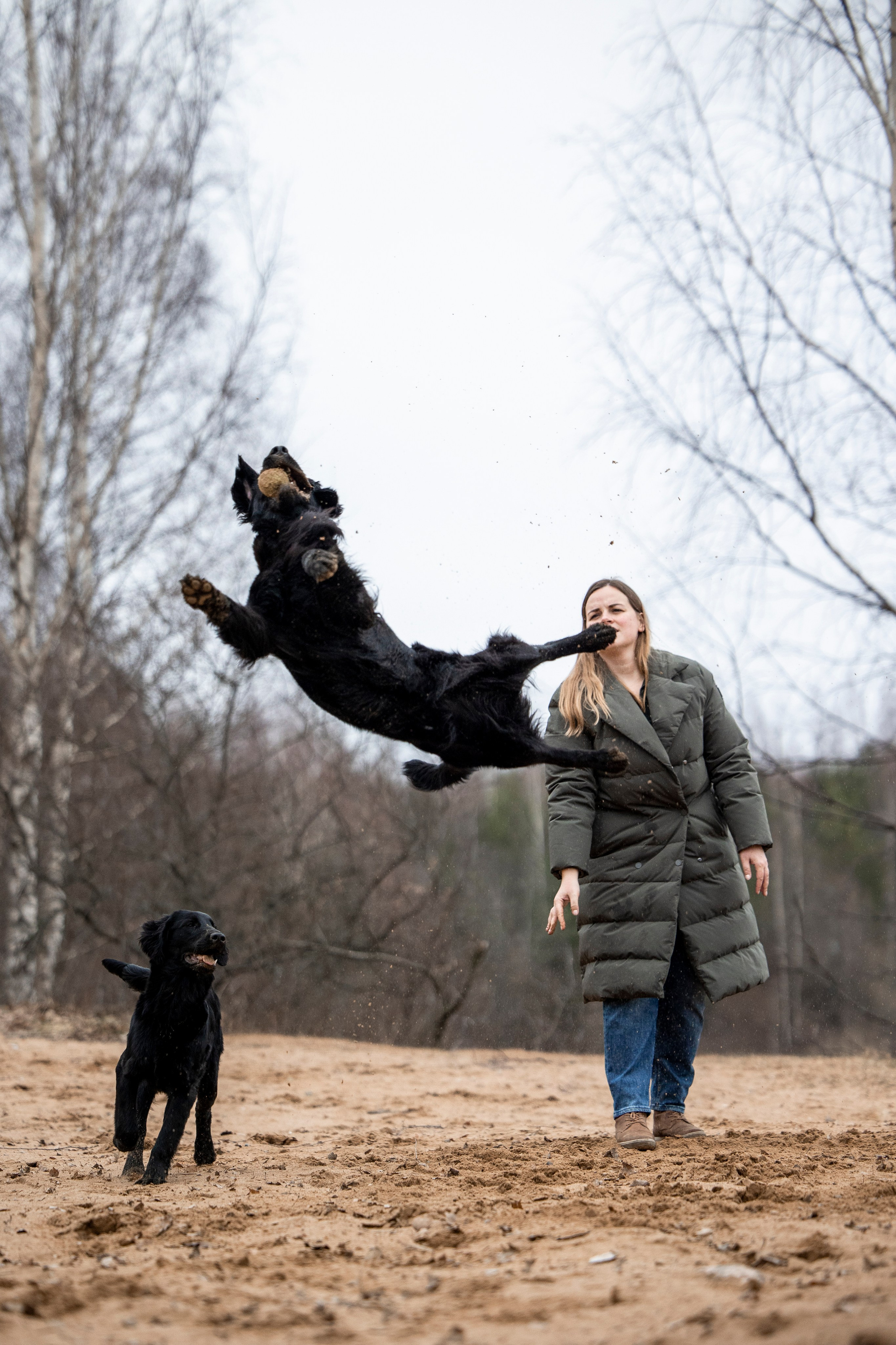 Ора, Ева, Рози и их семья. Фотограф — Анималист | Санкт-Петербург