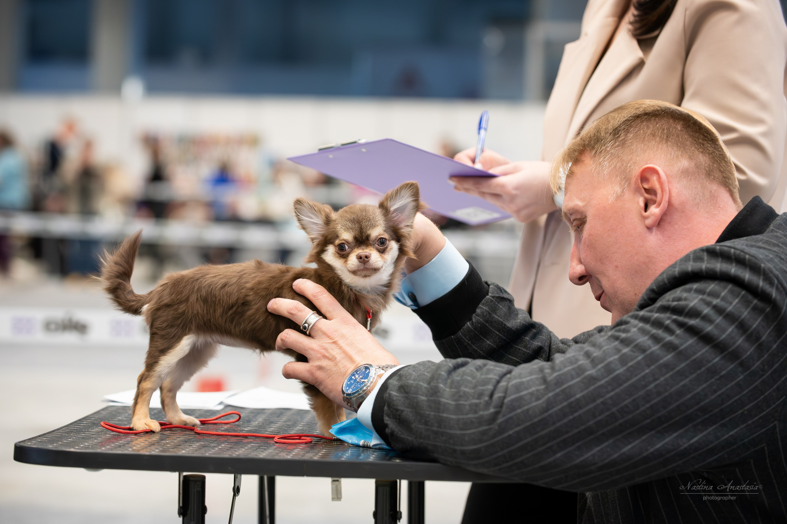 Выставки. Фотограф — Анималист