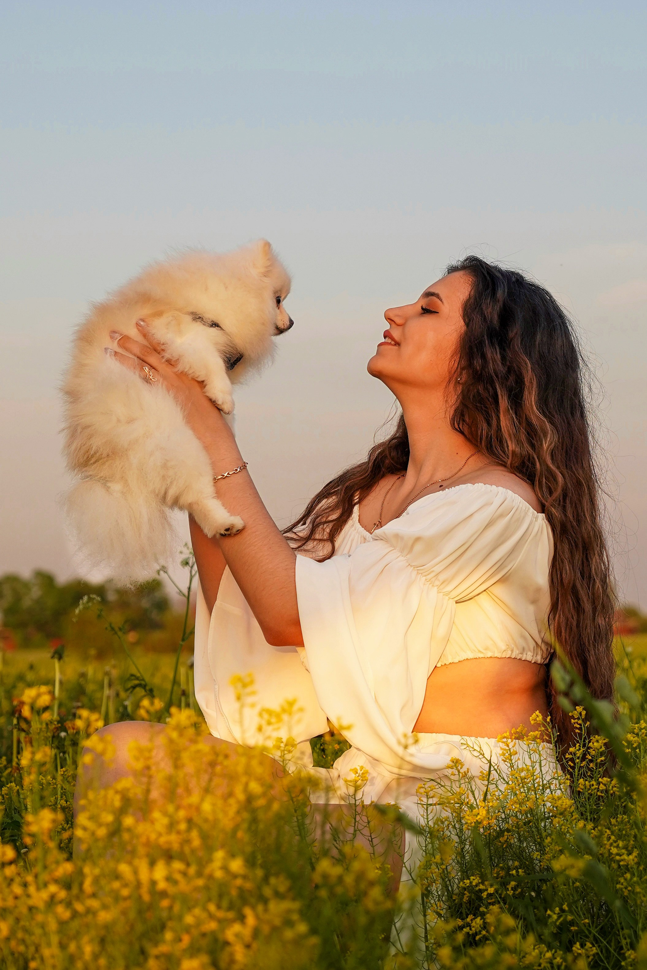 Рапсовое поле. Главная