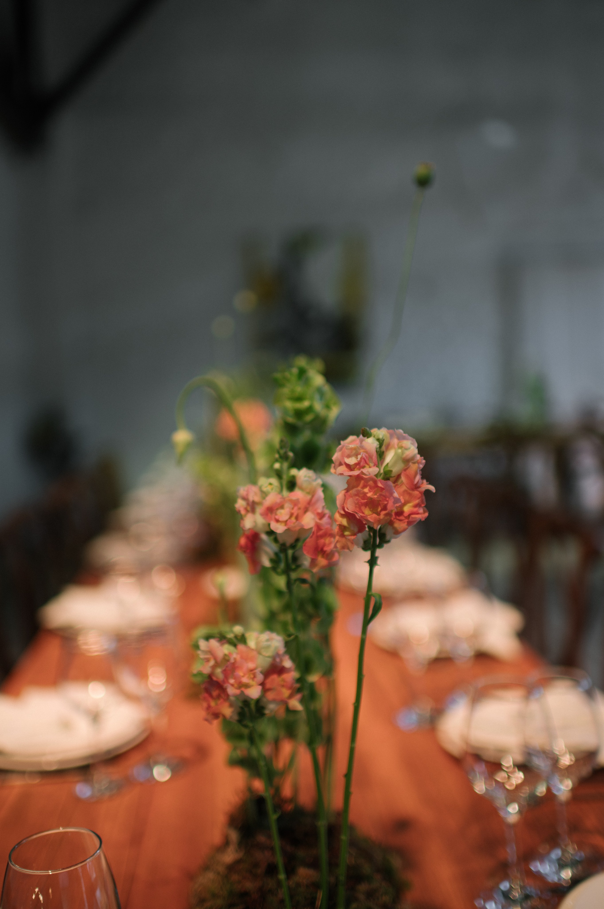 Никита & Катя. Оформление свадеб, декор свадеб Вера Маркова, Москва