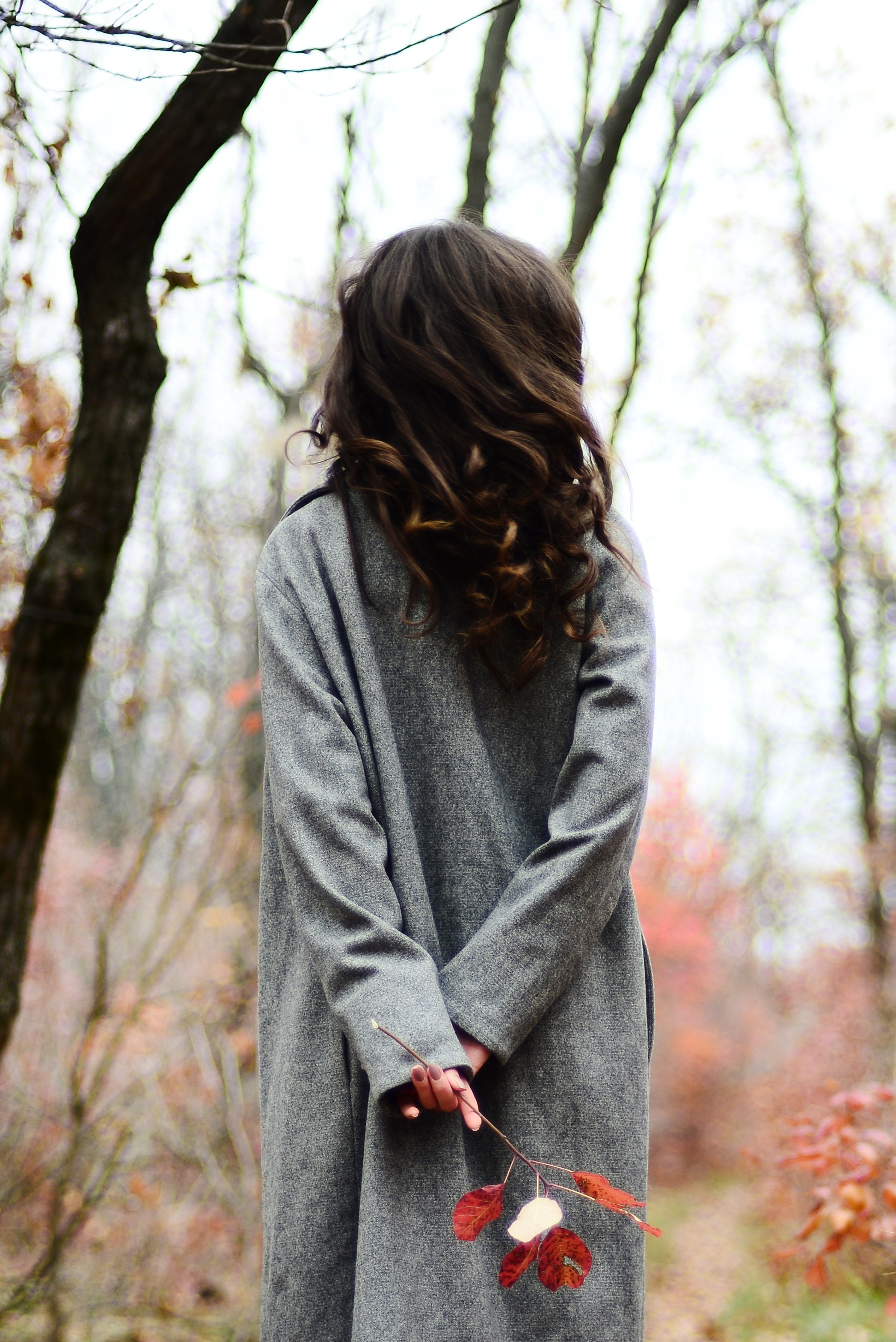 Маша в красном лесу. Кристина Зуенкова. Фотограф в Луганске