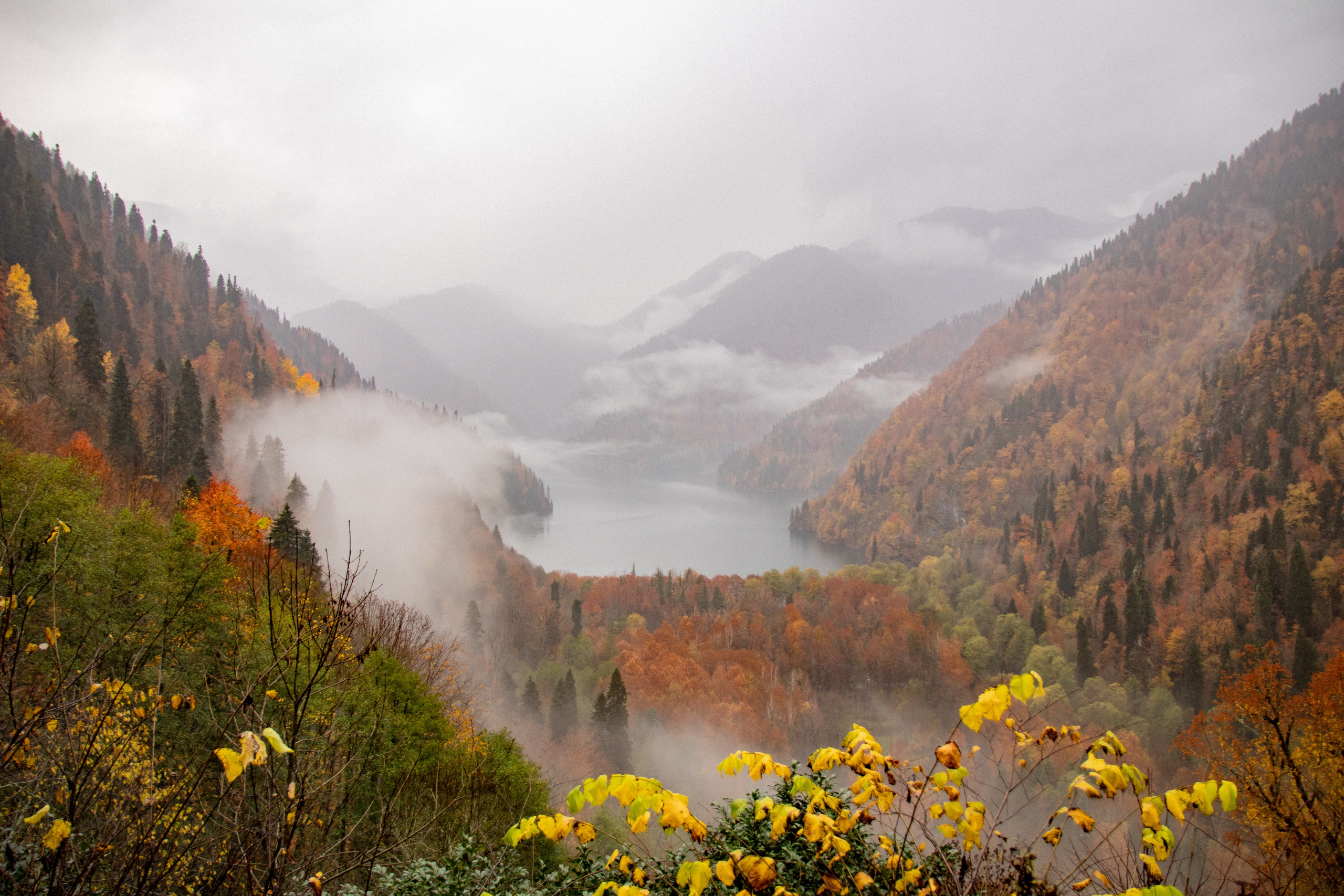 Абхазия. Фотограф Севастополь, Крым. Портретный и репортажный фотограф Коваленко Антонина