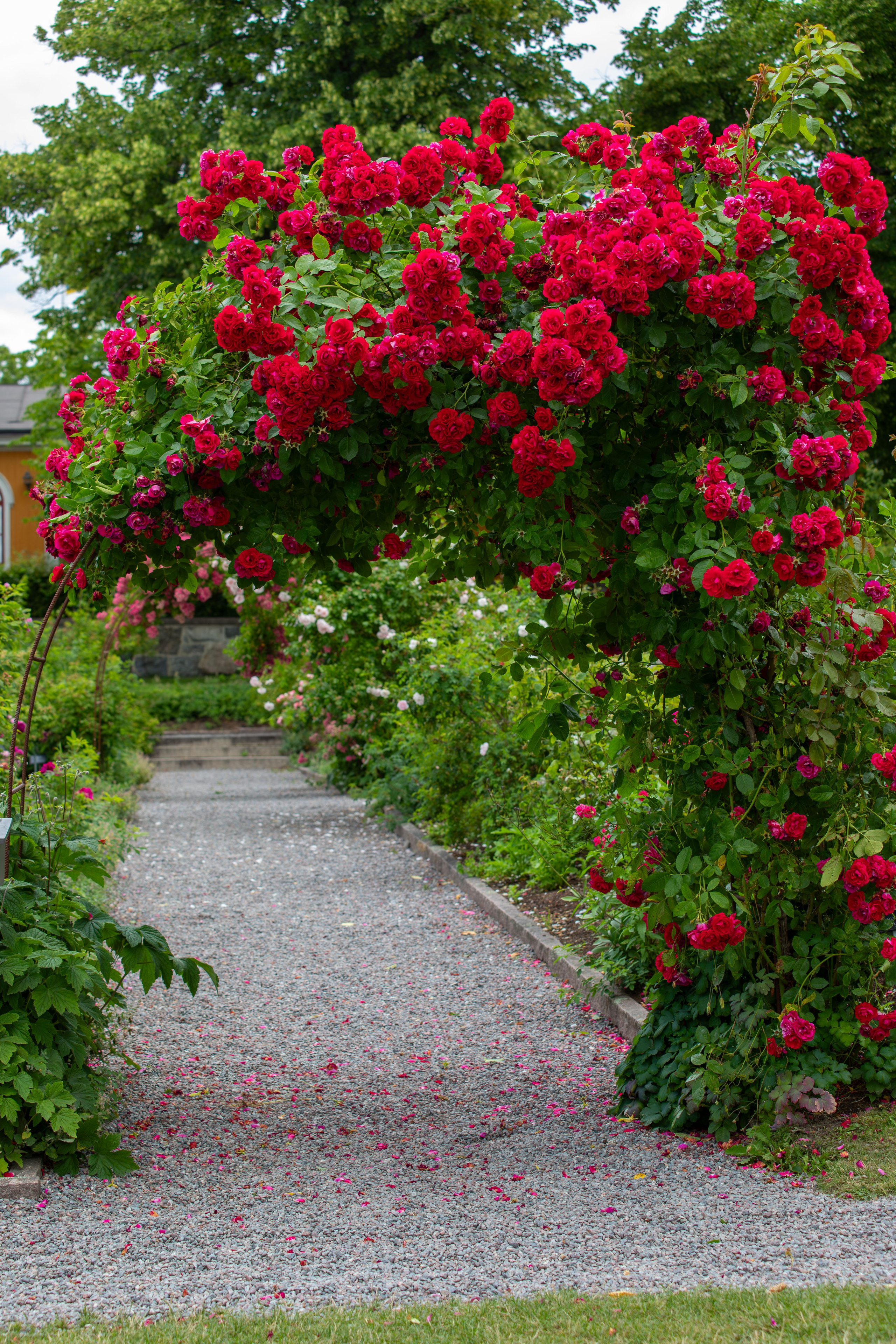 Sweden, Skansen. Воройская Анна