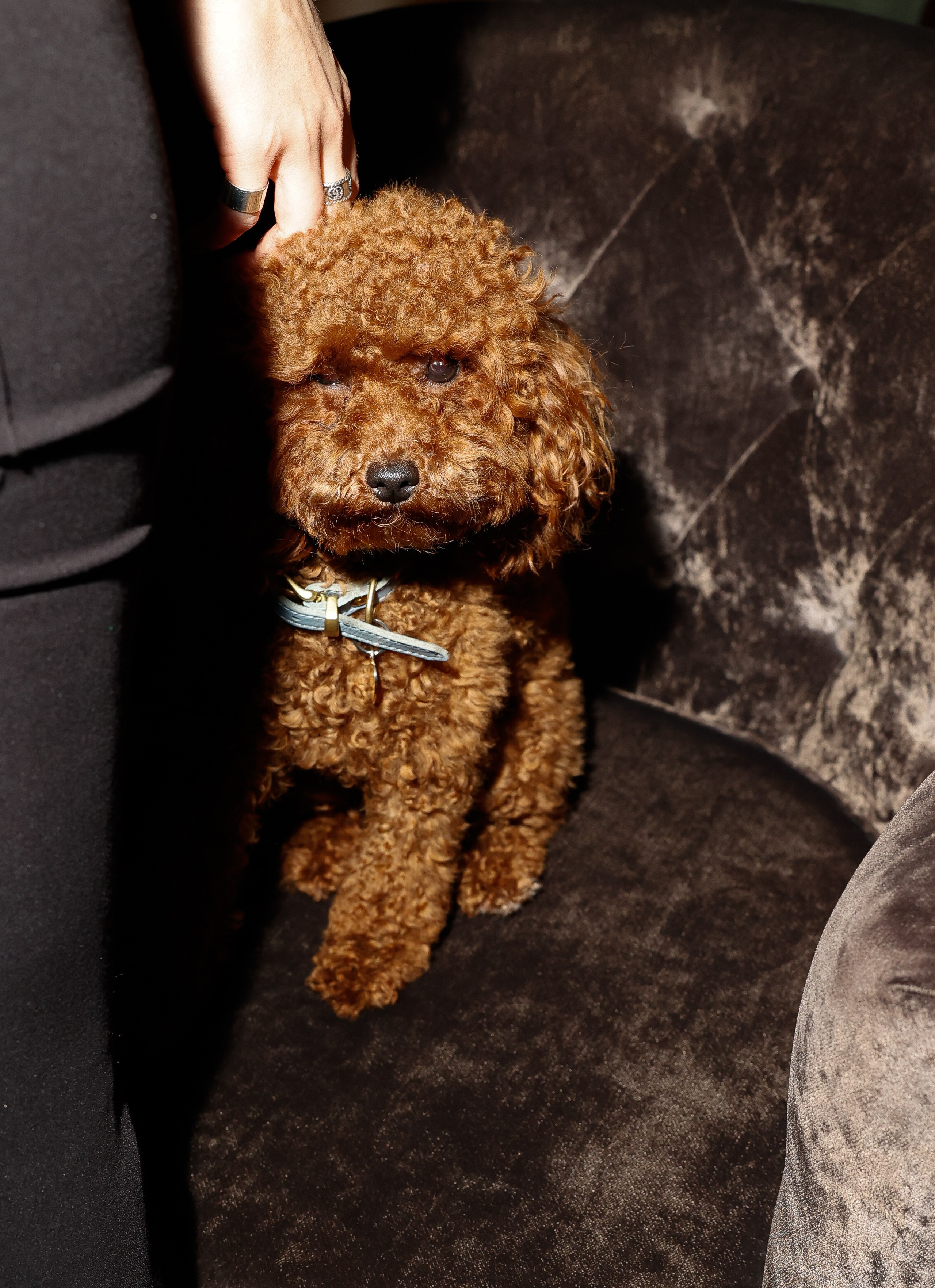 ХВИЧА. Nikolskayasecular