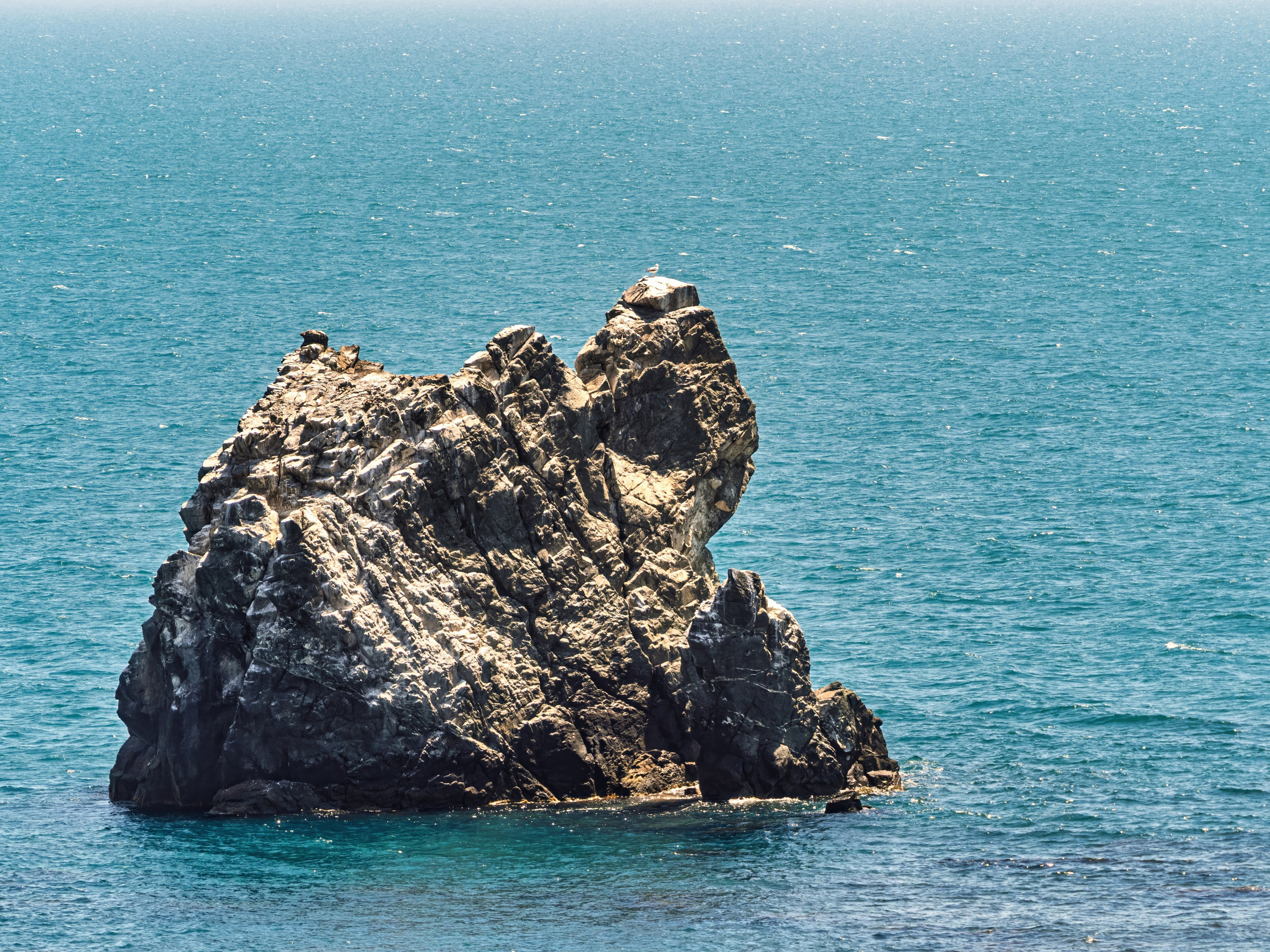 Крым, Утес, 2021 год. Фотограф Никифоров-Гордеев Сергей. Москва и МО