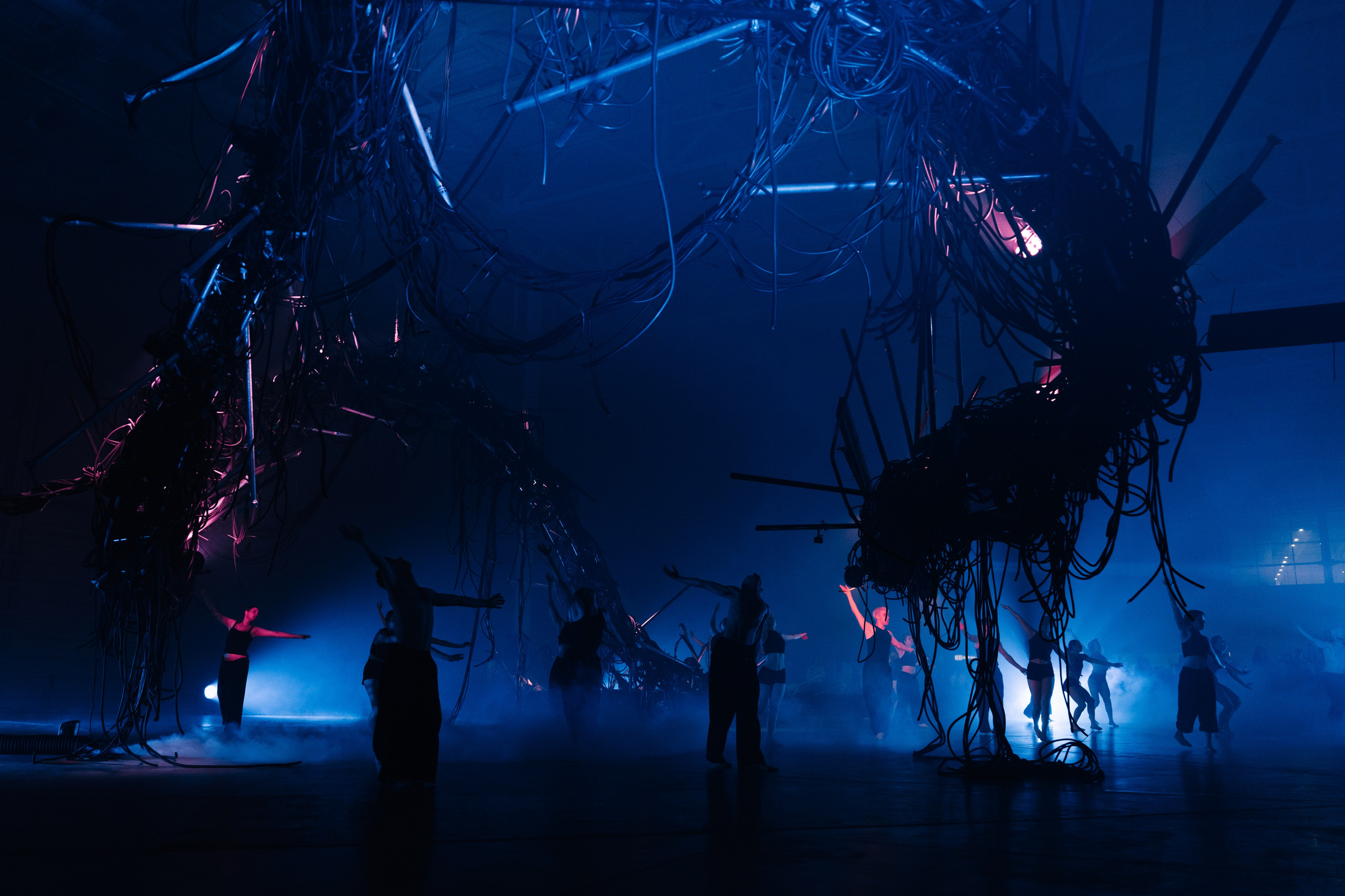 PERFORMA, The Hour of the Horse. @tomrus: Рустам Шагиморданов — фотограф