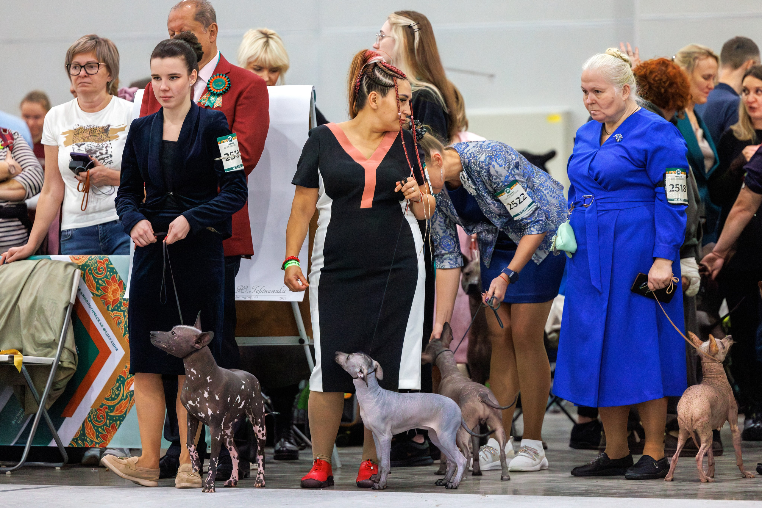 Евразия 15-16.11.2025. Фотограф-анималист Юлия Германика