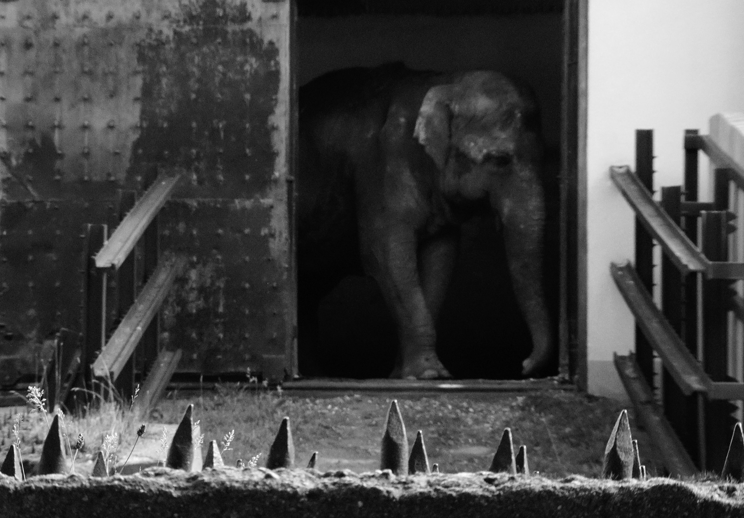 ПРЕГОЛЯ НЕ РЕКА. Художественная группа «Нежные Бабы»