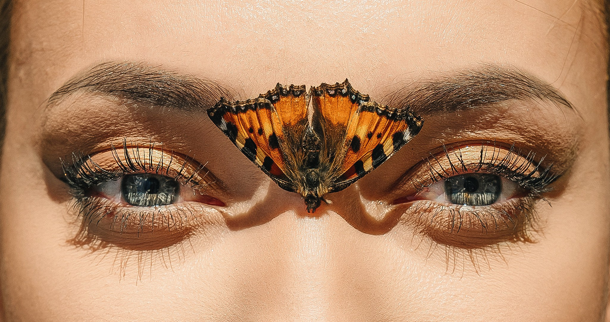 Butterfly. Lokos.pro Ник Соколов Фото и Видео Москва/Ростов-на-Дону