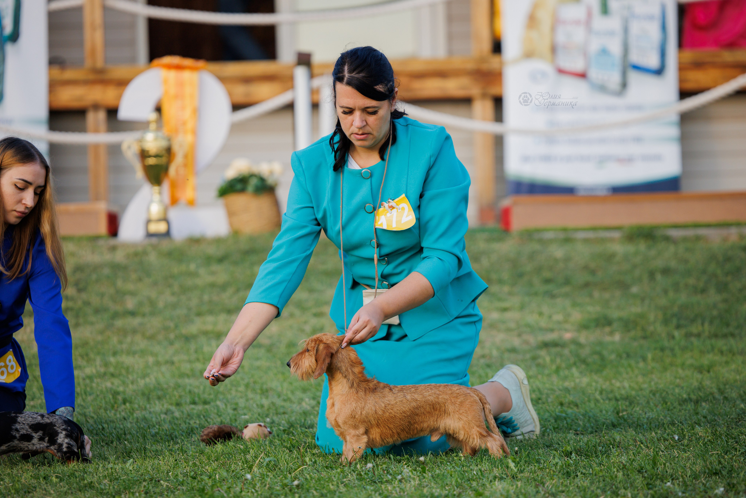 Армения,Ереван 3хCACIB 15-17.10.2024. Фотограф-анималист Юлия Германика