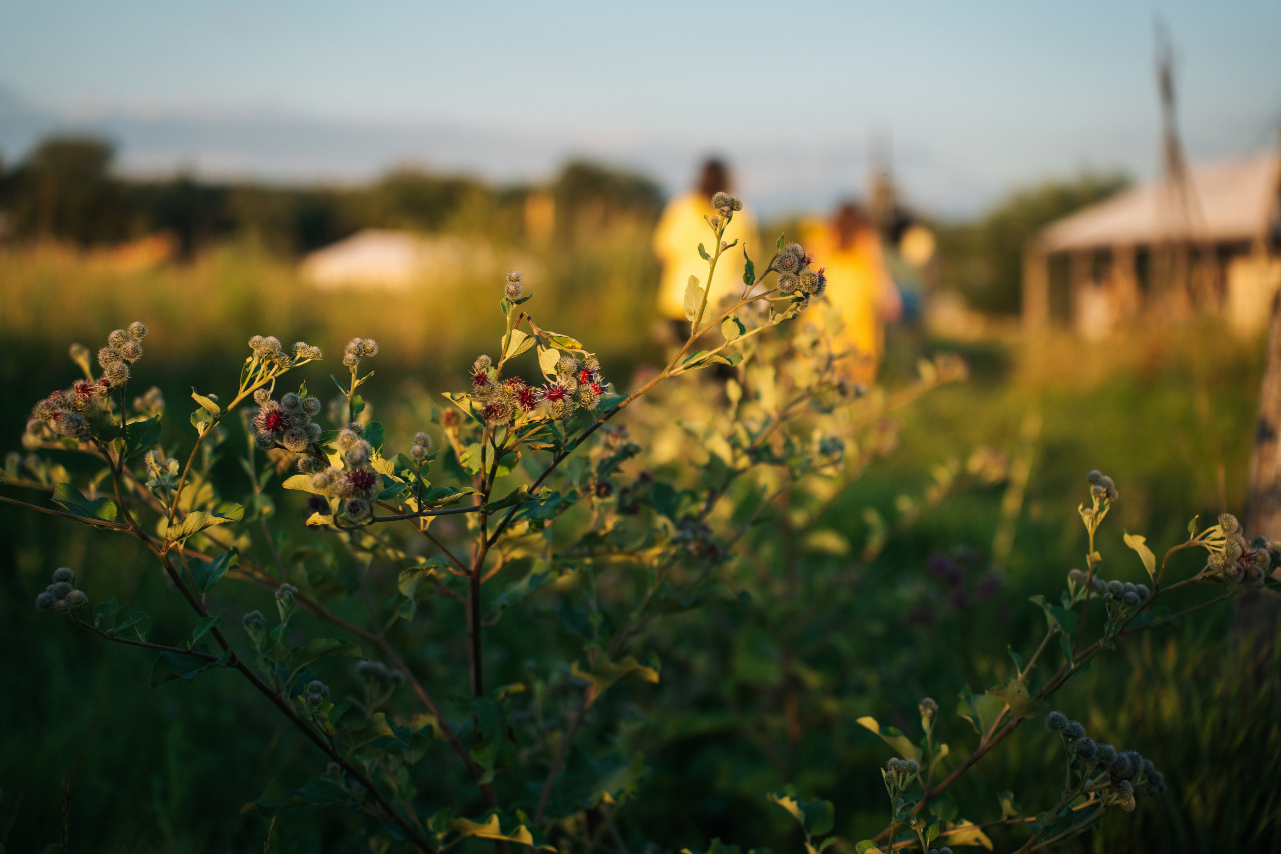 Девичник. Сыч. Фотограф в Воронеже Ольга Космодемьянская