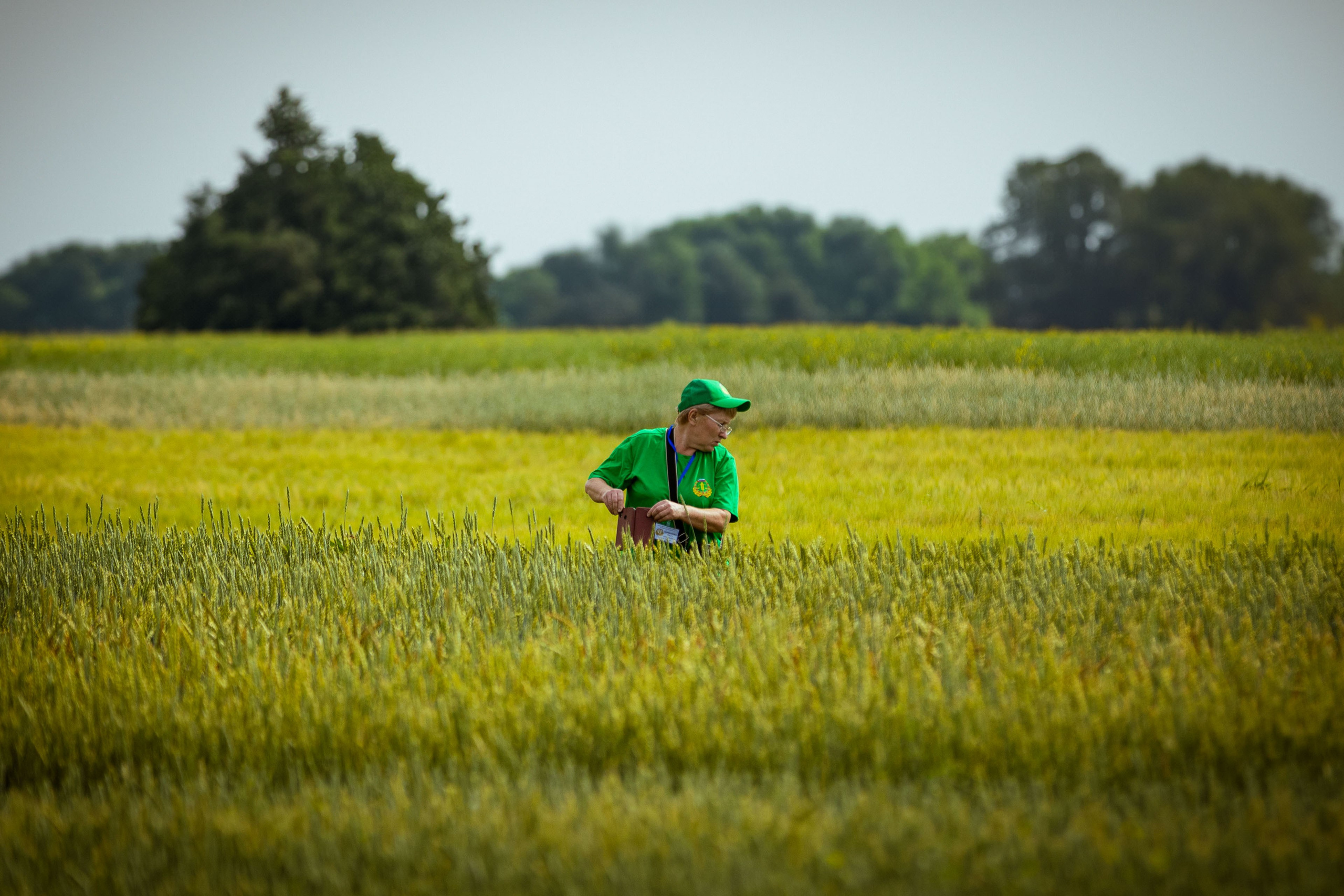 АгроПро 2024 [20/07/24]. Фотограф Виноградов Константин