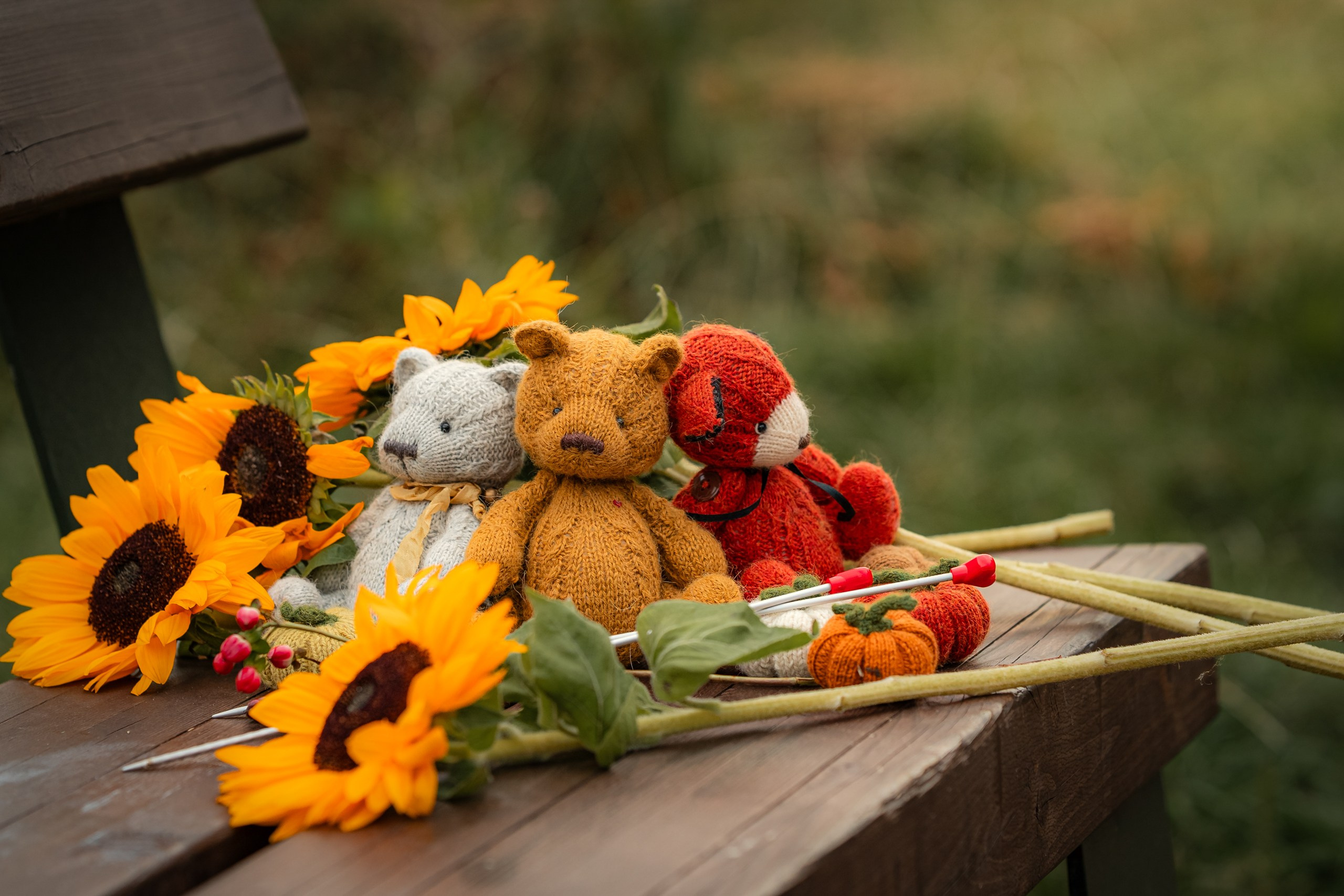 Осень Настя Линина