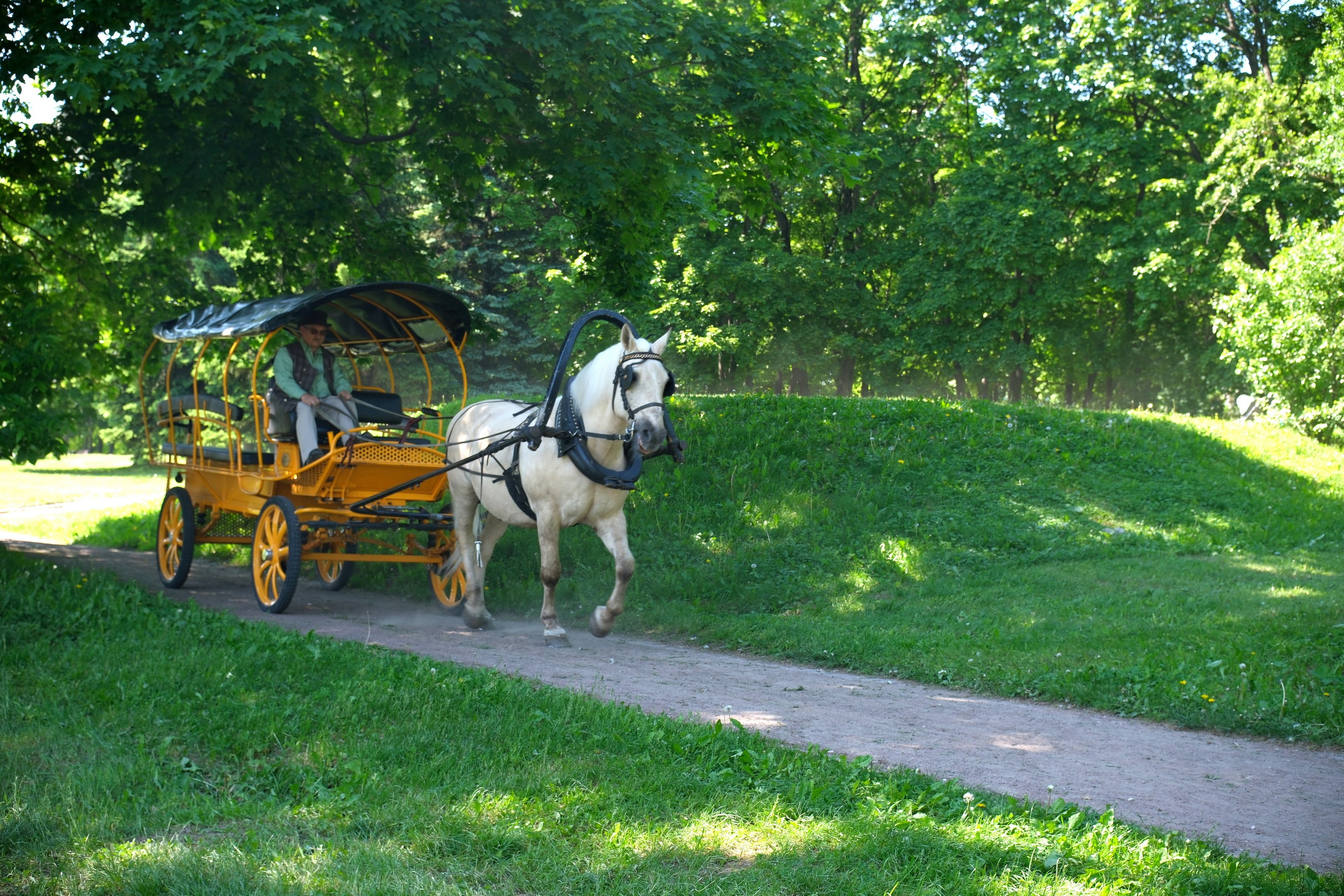 Коломенское 2024. Улица, люди, жизнь…