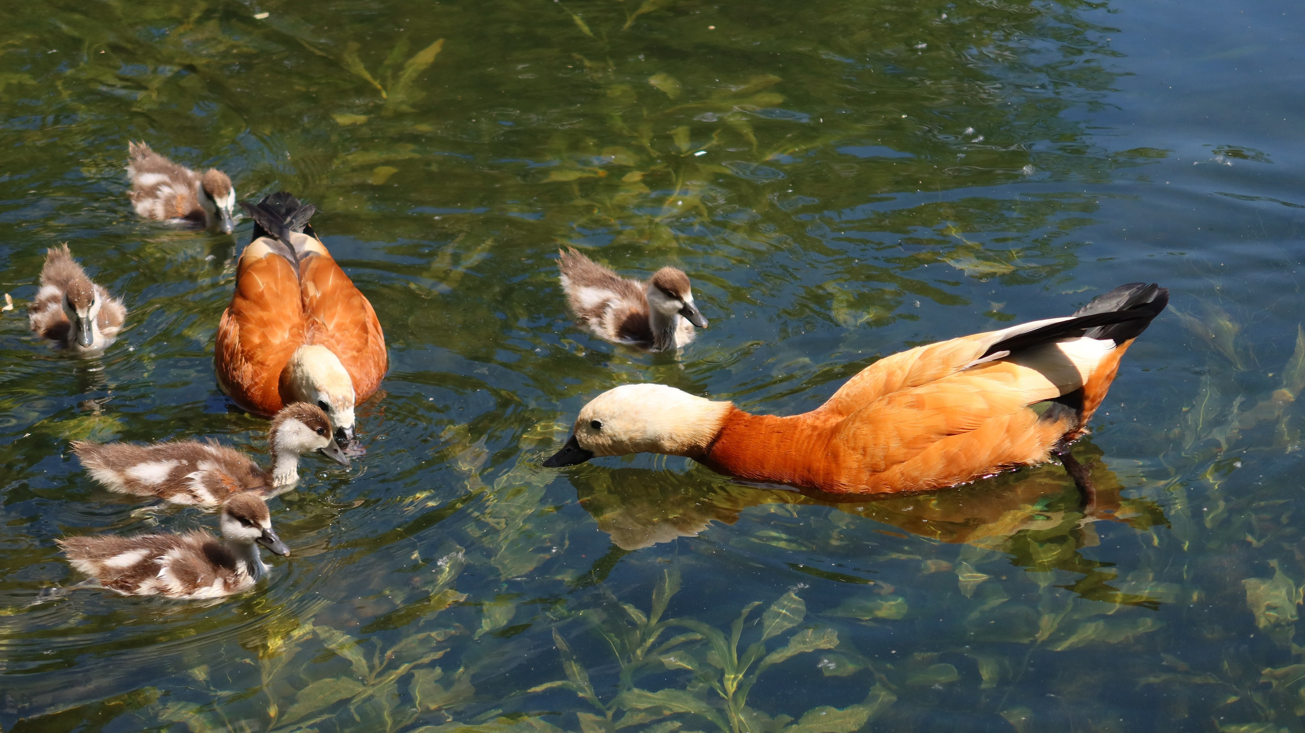 Антроповский сквер. Улица, люди, жизнь…