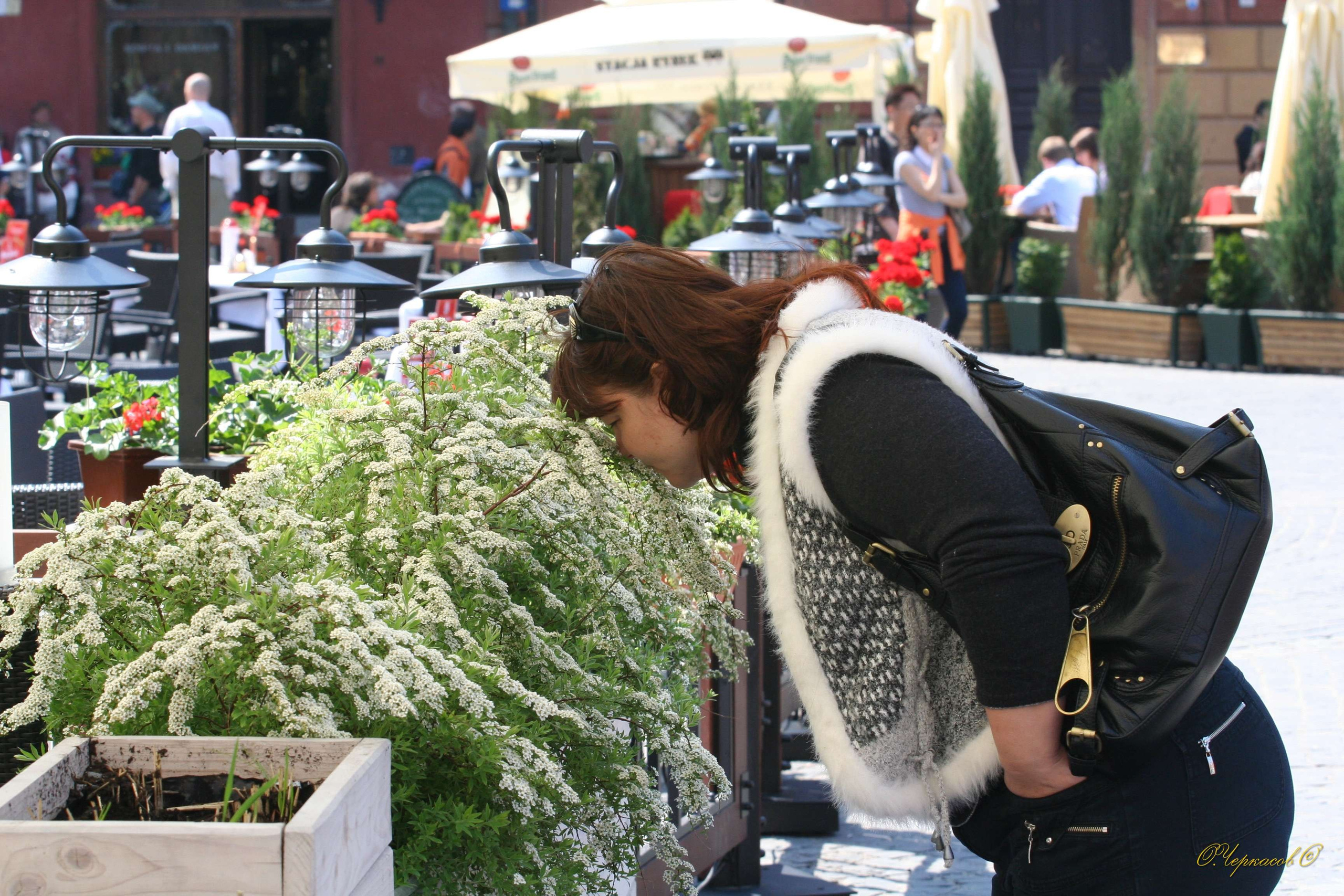 Польша 2009 г. Улица, люди, жизнь…