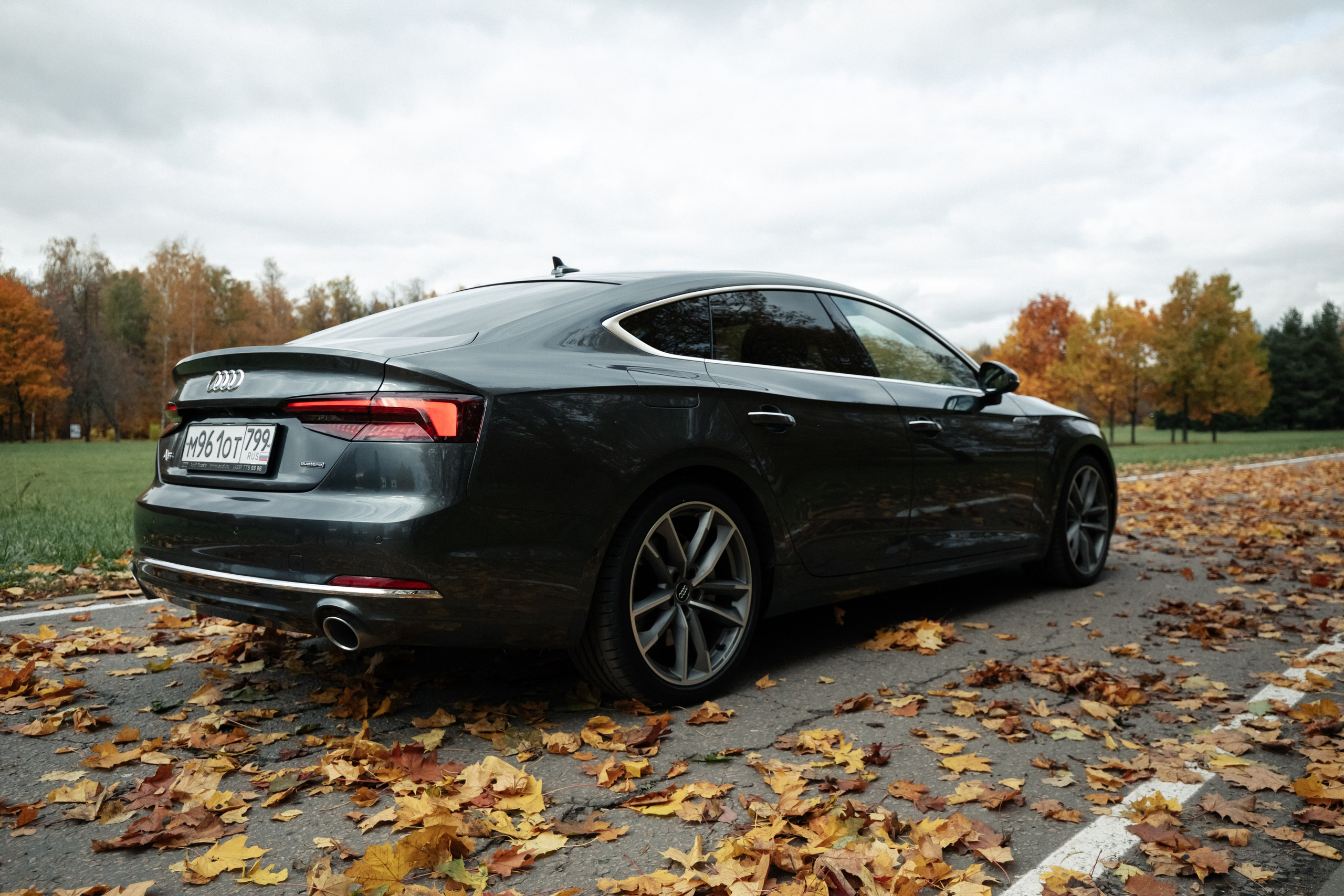 AUDI. Вадим Ветров