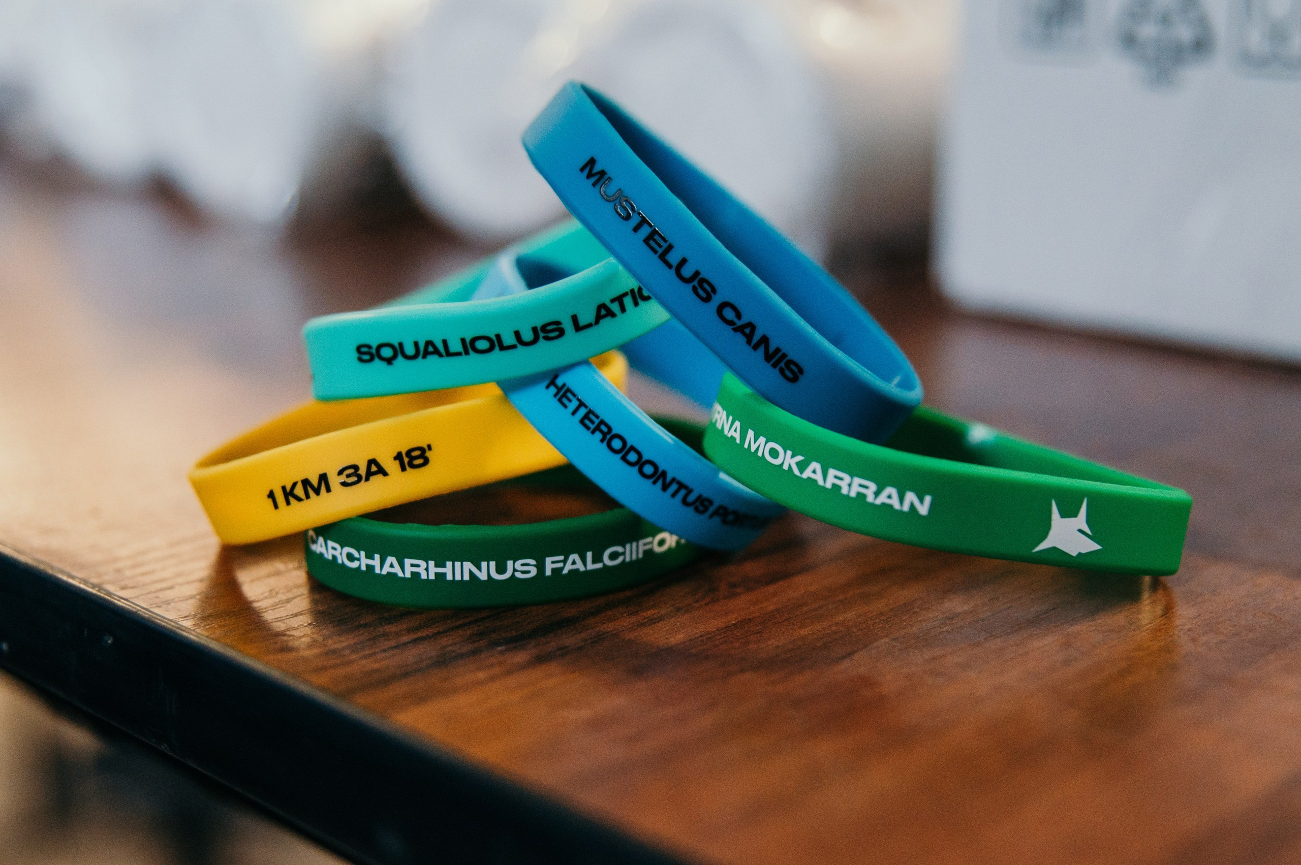 Спортивный фотограф. Фотограф Москва