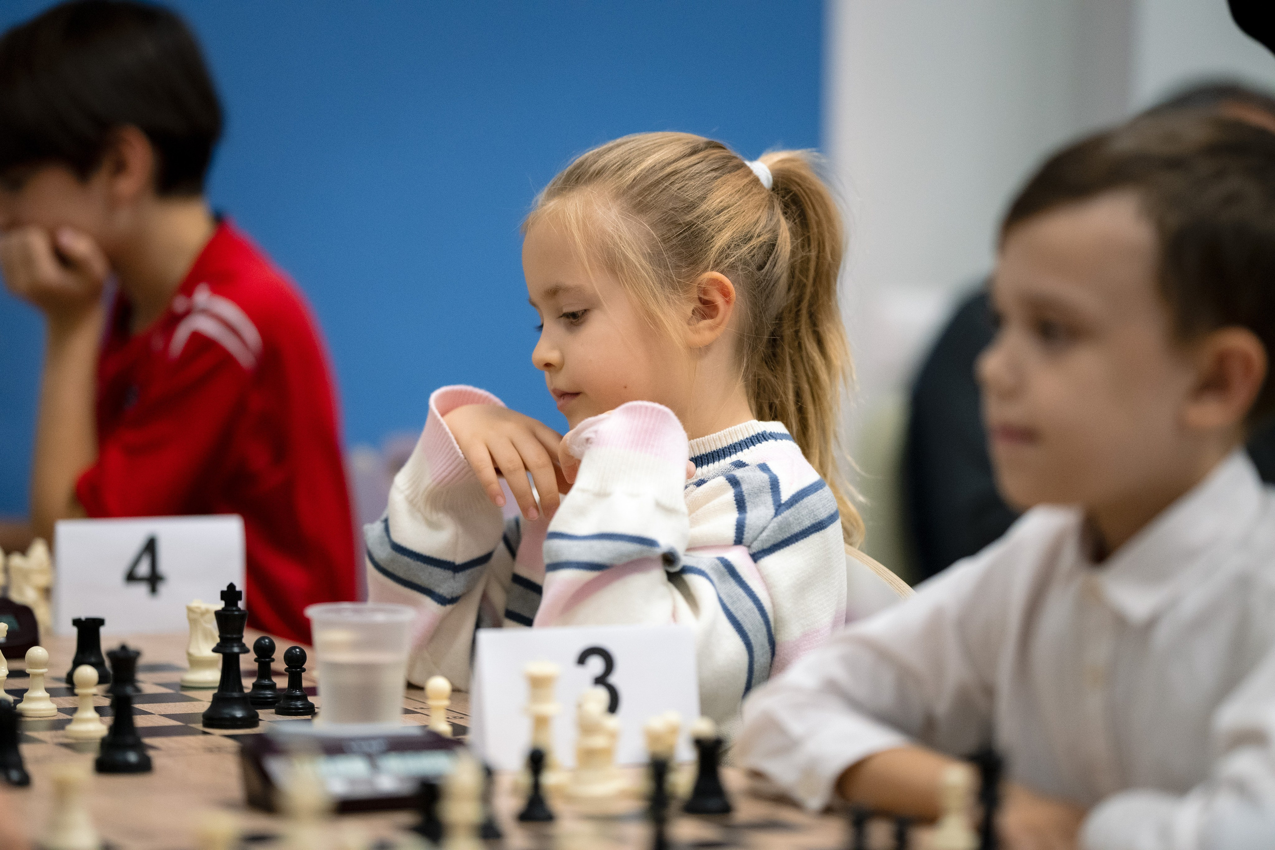 Шахматный турнир 14/12/24. Фотограф в Краснодаре Алена Горбунова