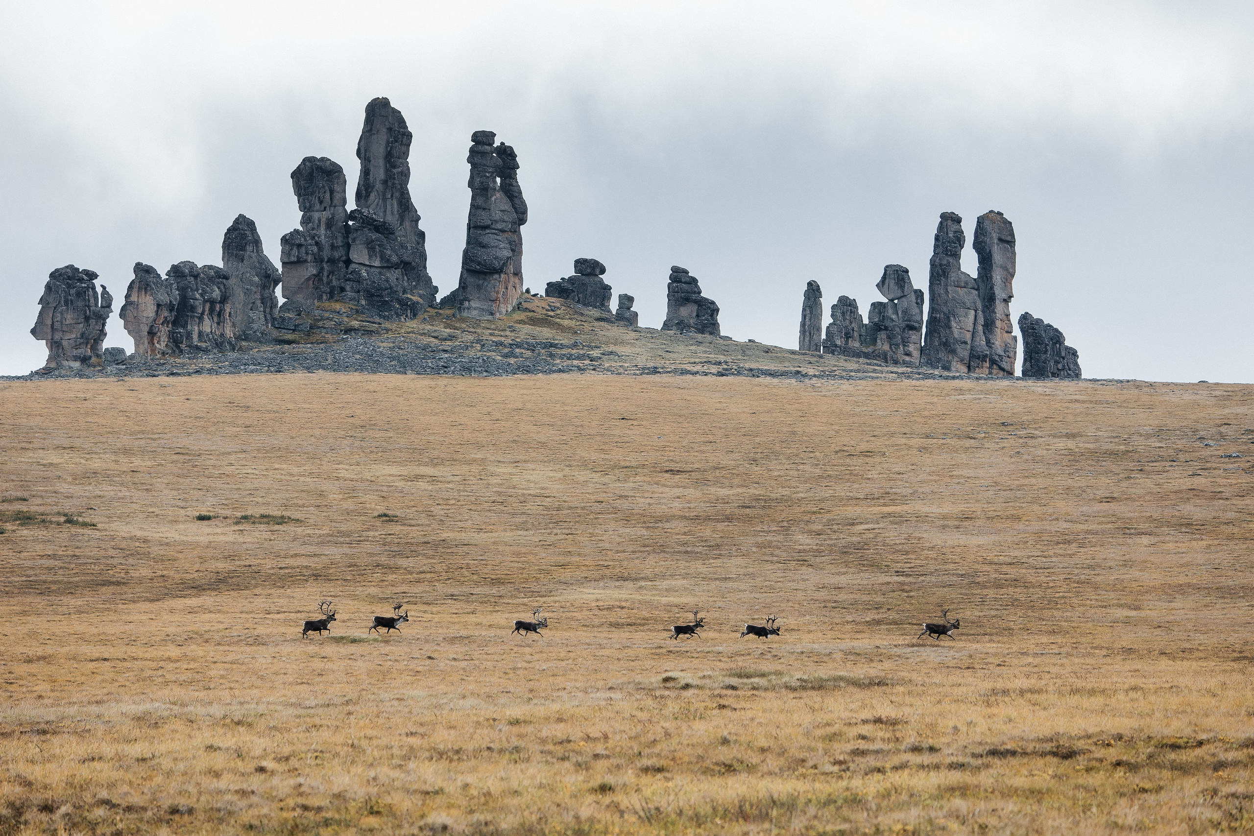 ПЕЙЗАЖ И ЛЮДИ. Саргылана Афанасьева