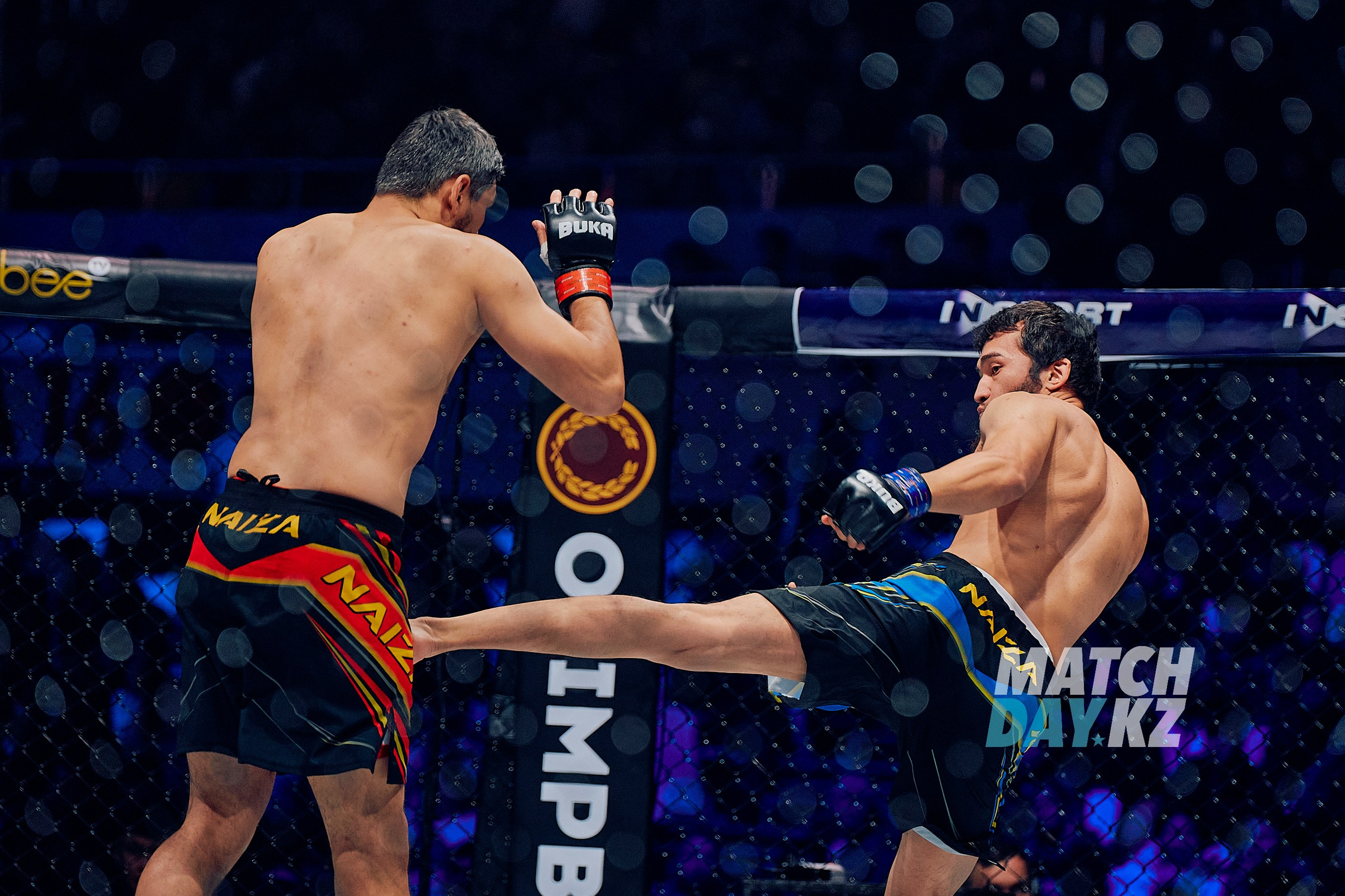 Naiza MMA (Astana) 6 December 2023. Professional photo & Event agency (Kazakhstan, Astana)