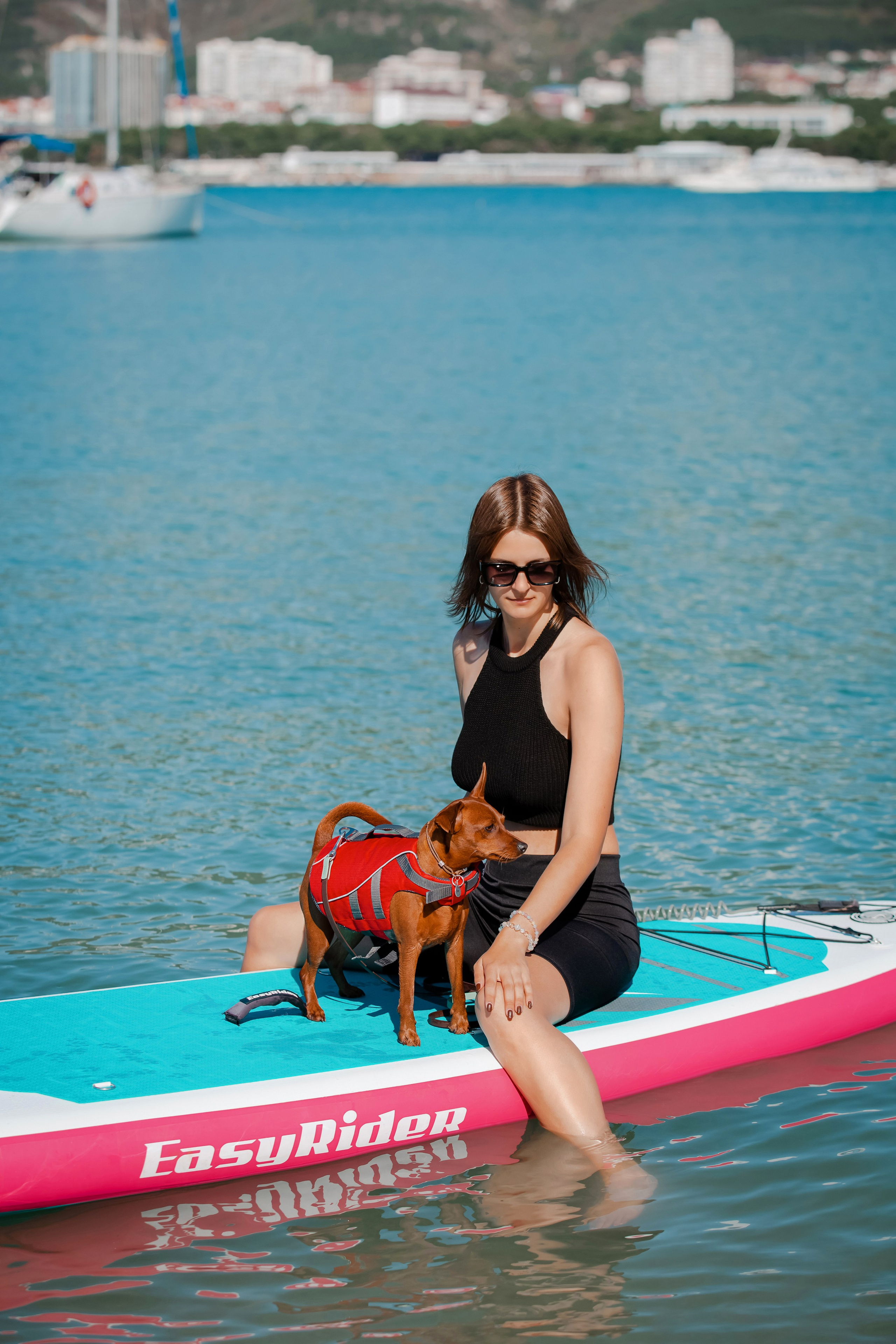 Цвергпинчер в Геленджике. Фотограф-анималист в Краснодаре Маша Мельникова