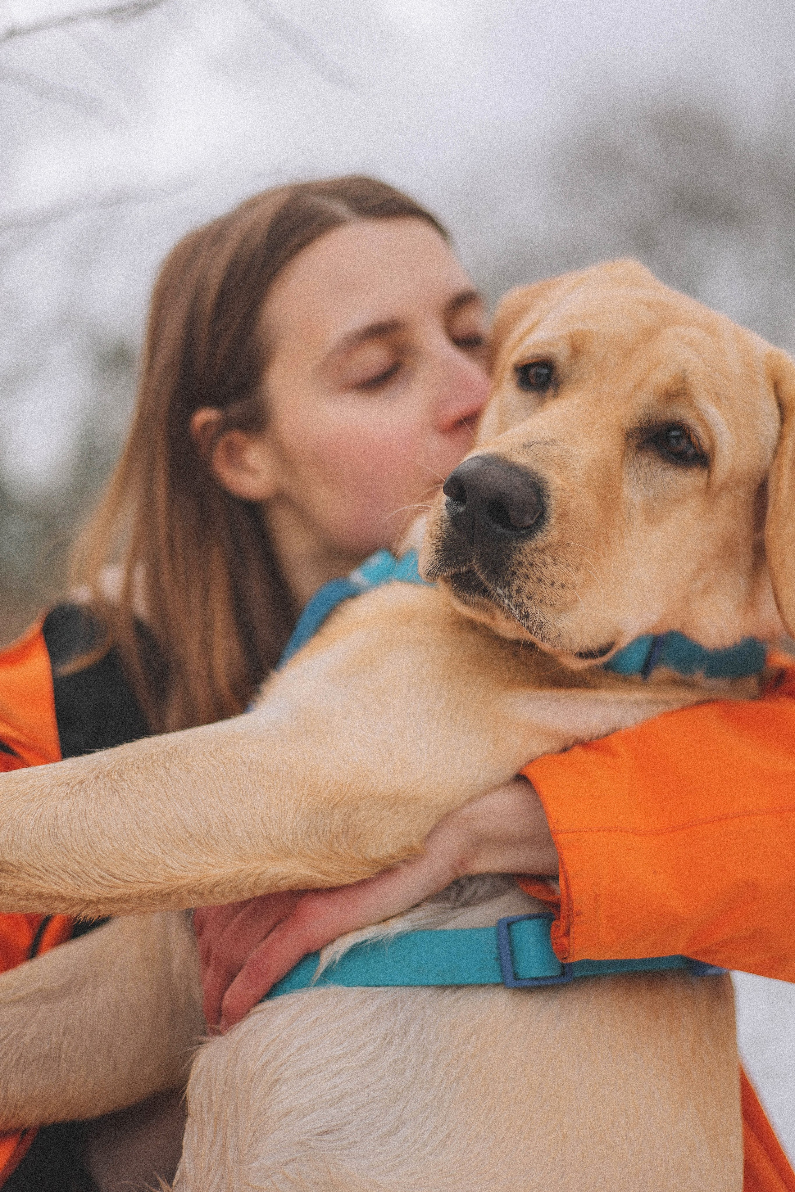 Маргарита и Варди. Фотограф-анималист Богданова Полина