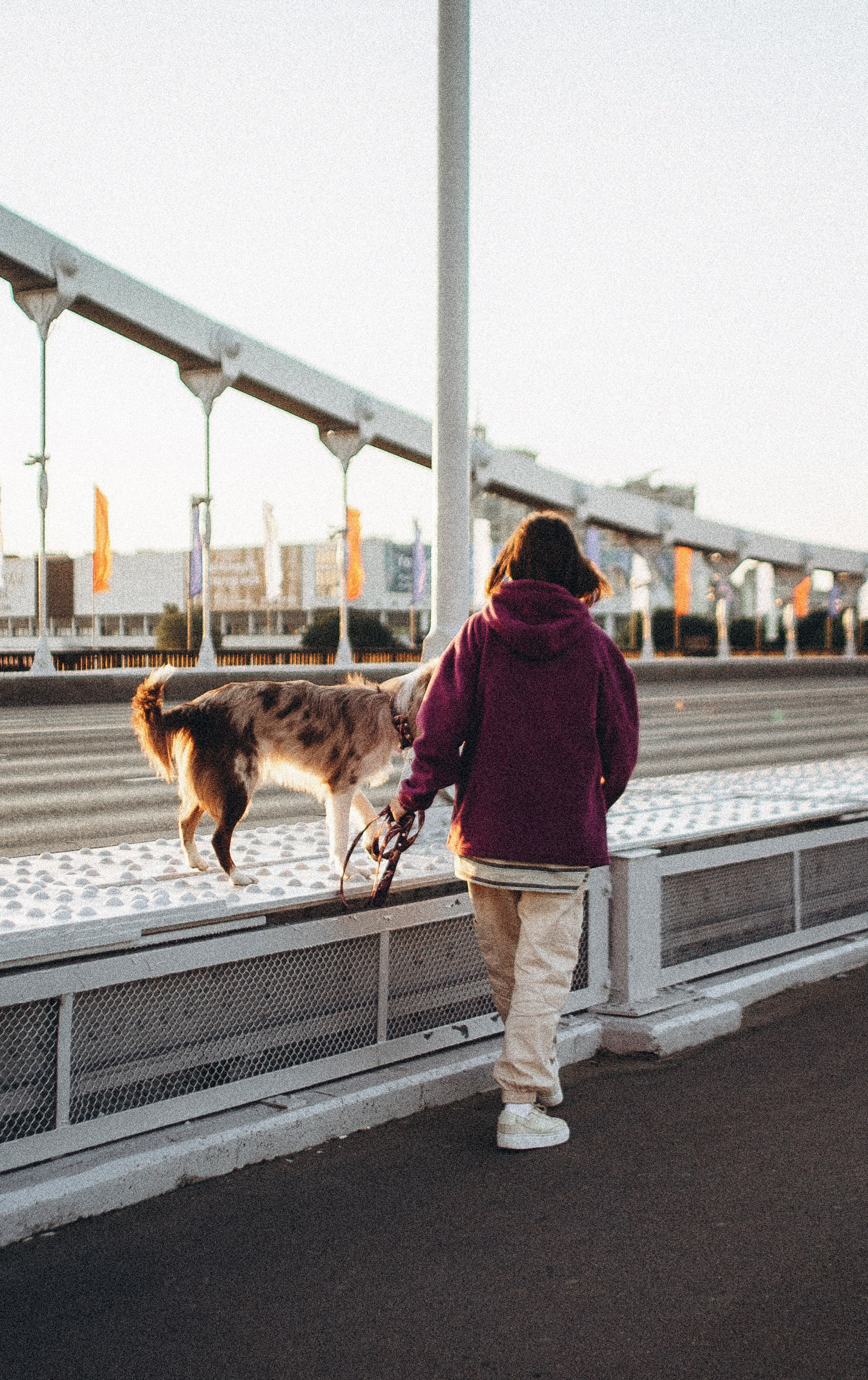Аня и Дэймон. Фотограф-анималист Богданова Полина