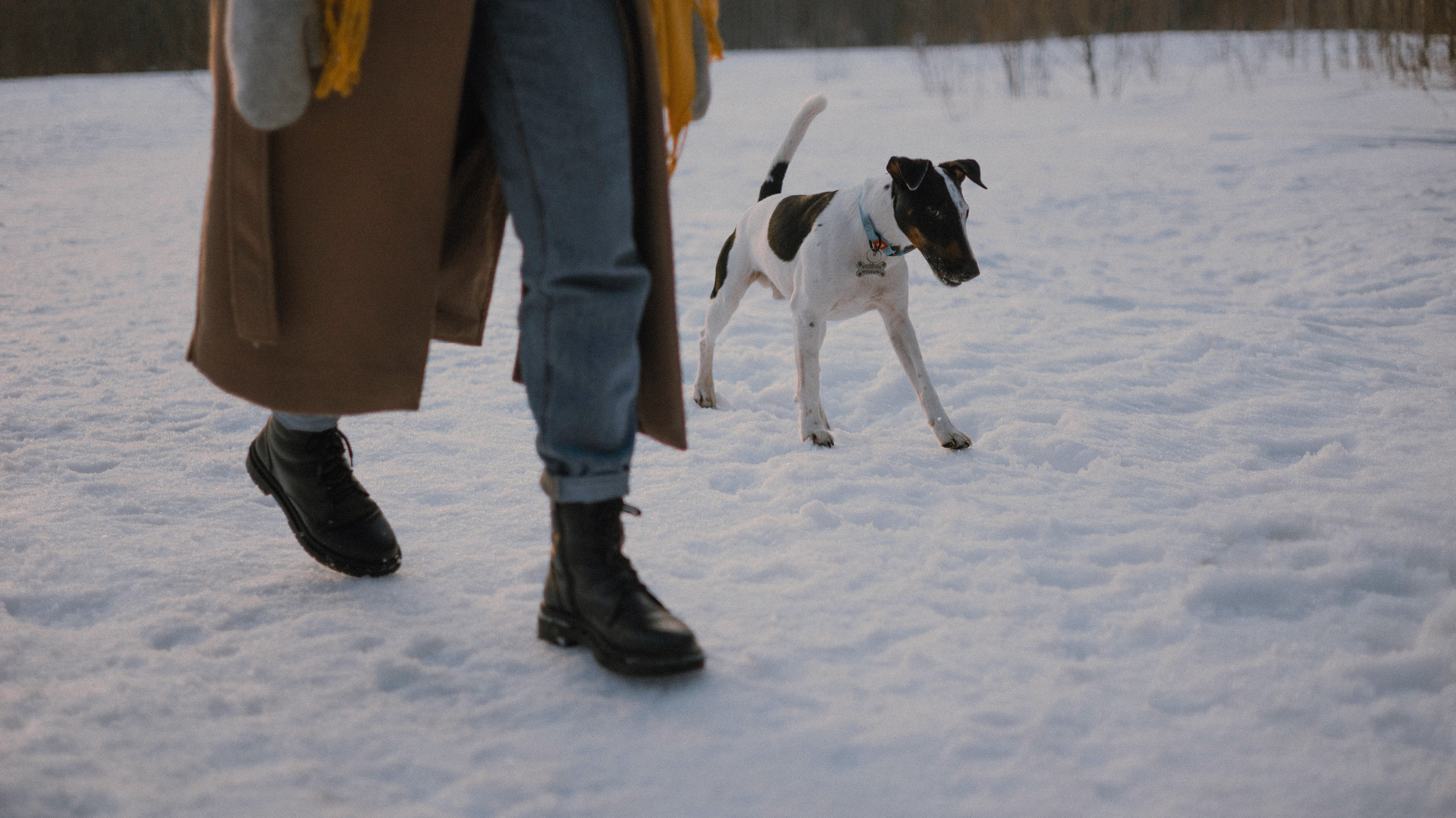 Ольга и Сэм. Фотограф-анималист Богданова Полина