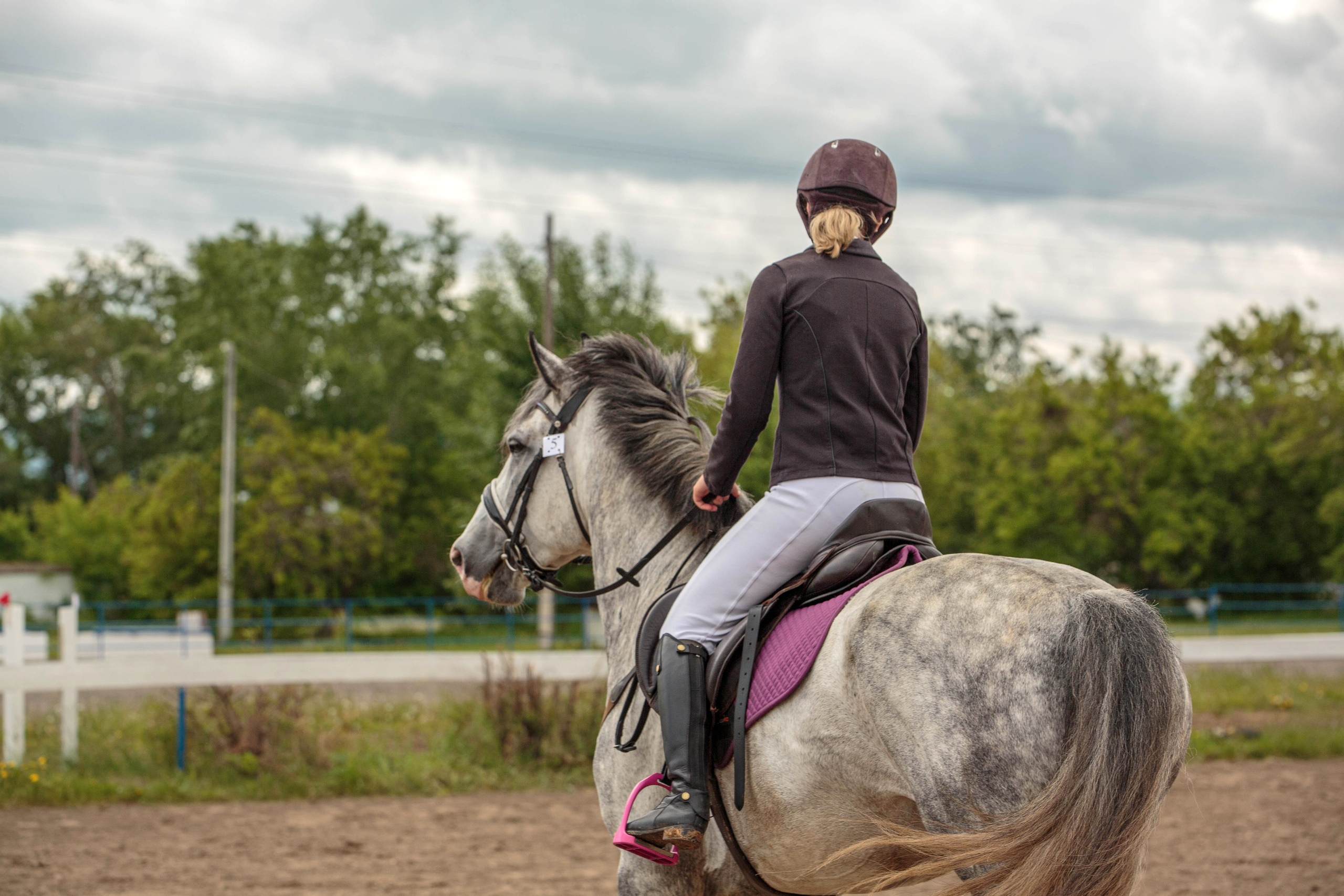 2024. Конный фотограф в Красноярске — Любовь Похабова