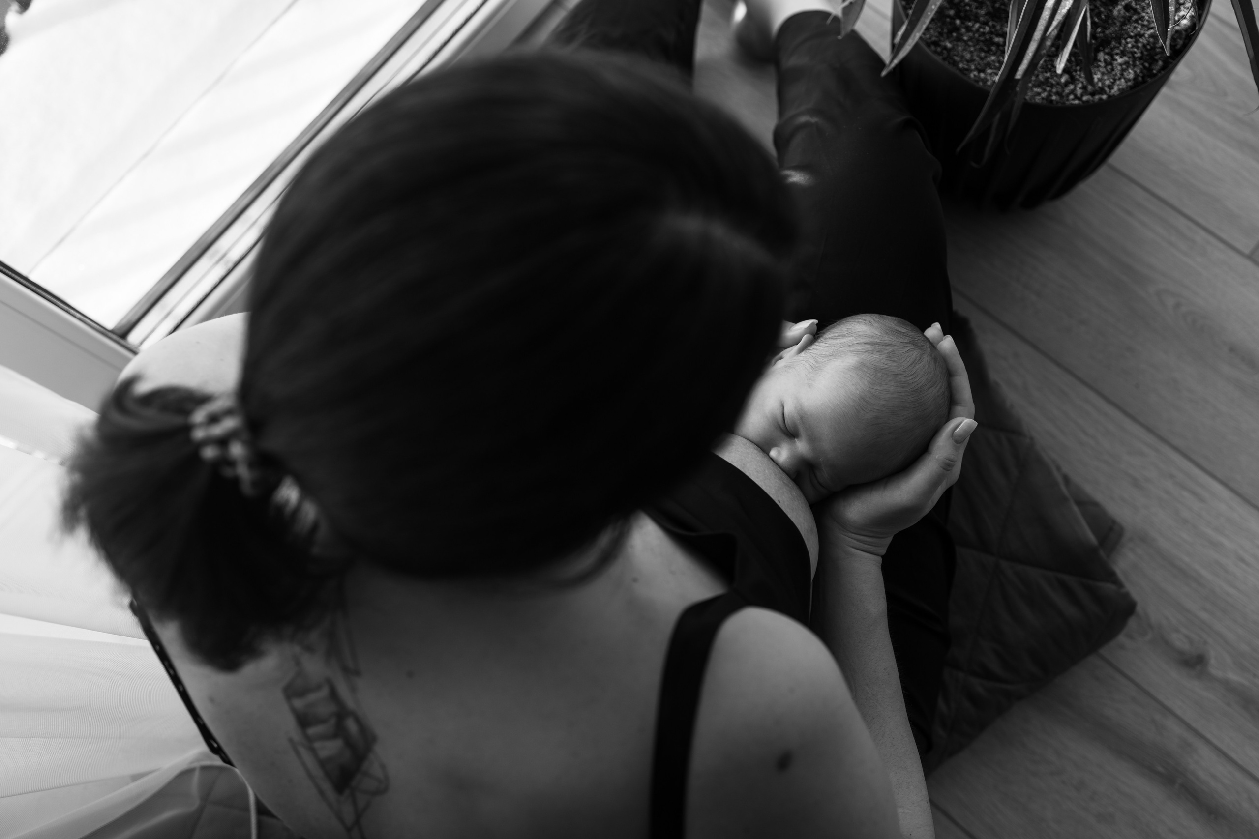 Гордей. Фотограф Новосибирск