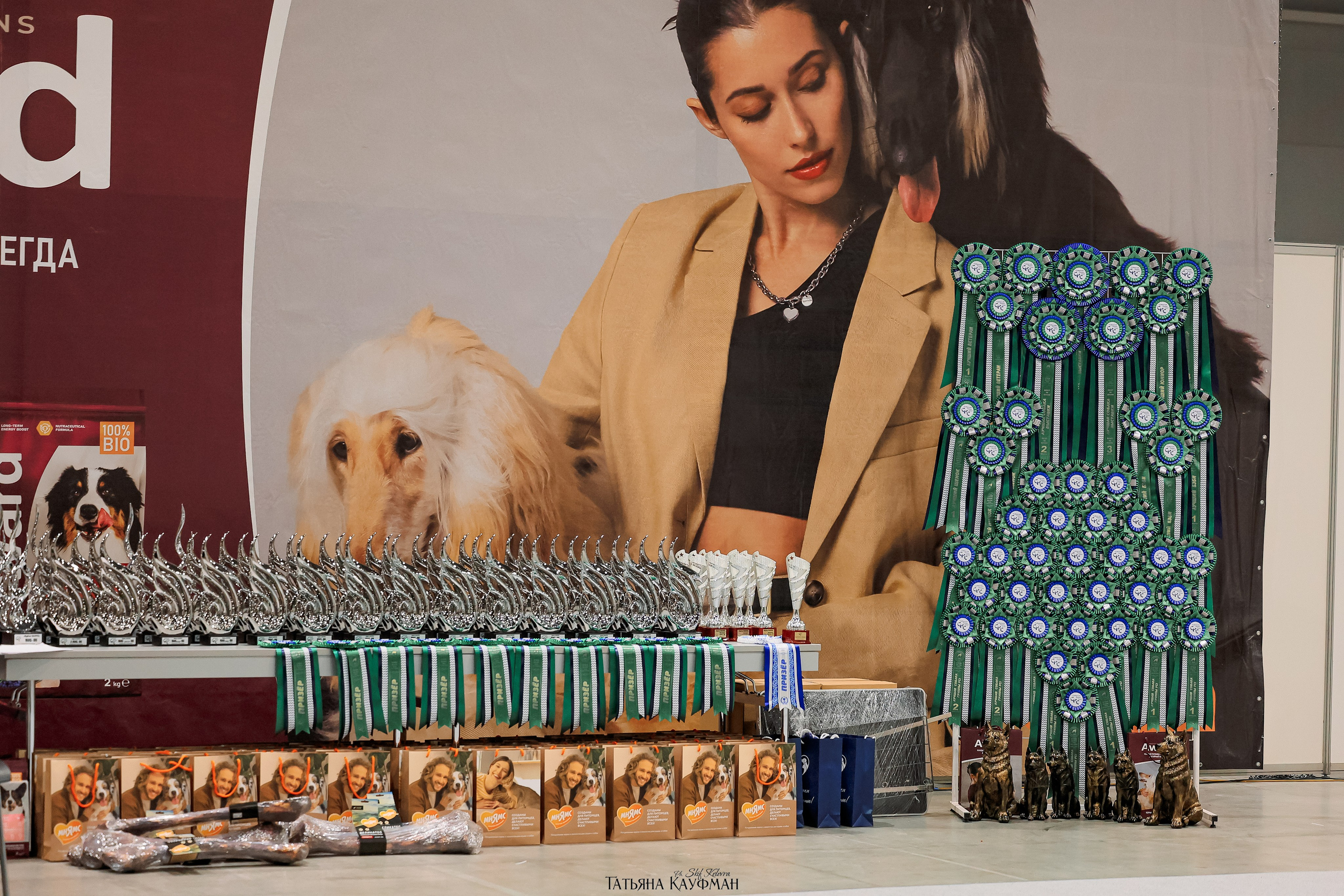 28-29.03.2026 Рейтинговая выставка в Новосибирске. Фотограф Анималист из Новосибирска Татьяна Кауфман