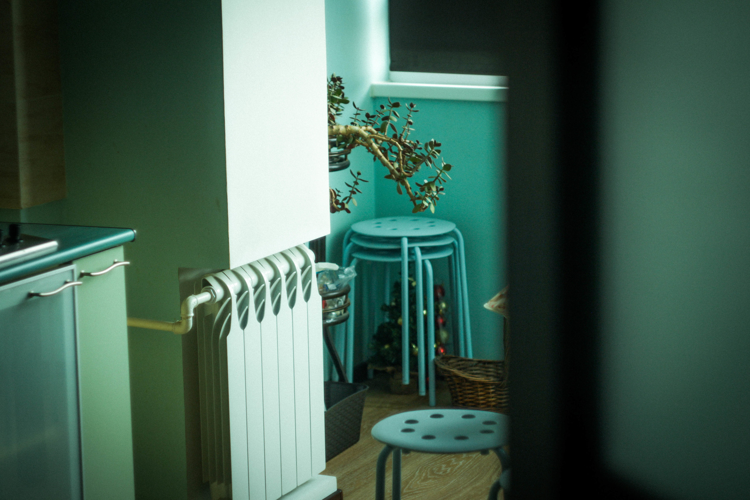 Wedding in Russia. Photographer in Georgia UAE Russia Nekit Fox