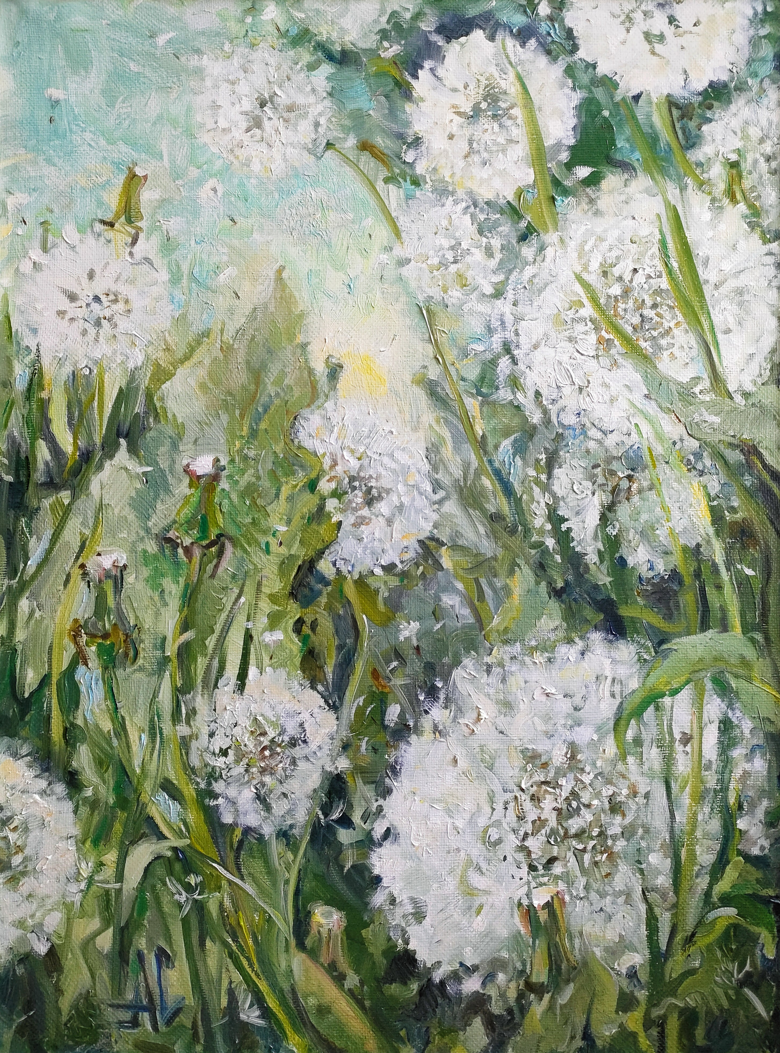 "Солнце в одуванчиках", 45х60, холст/масло, 2021-2023