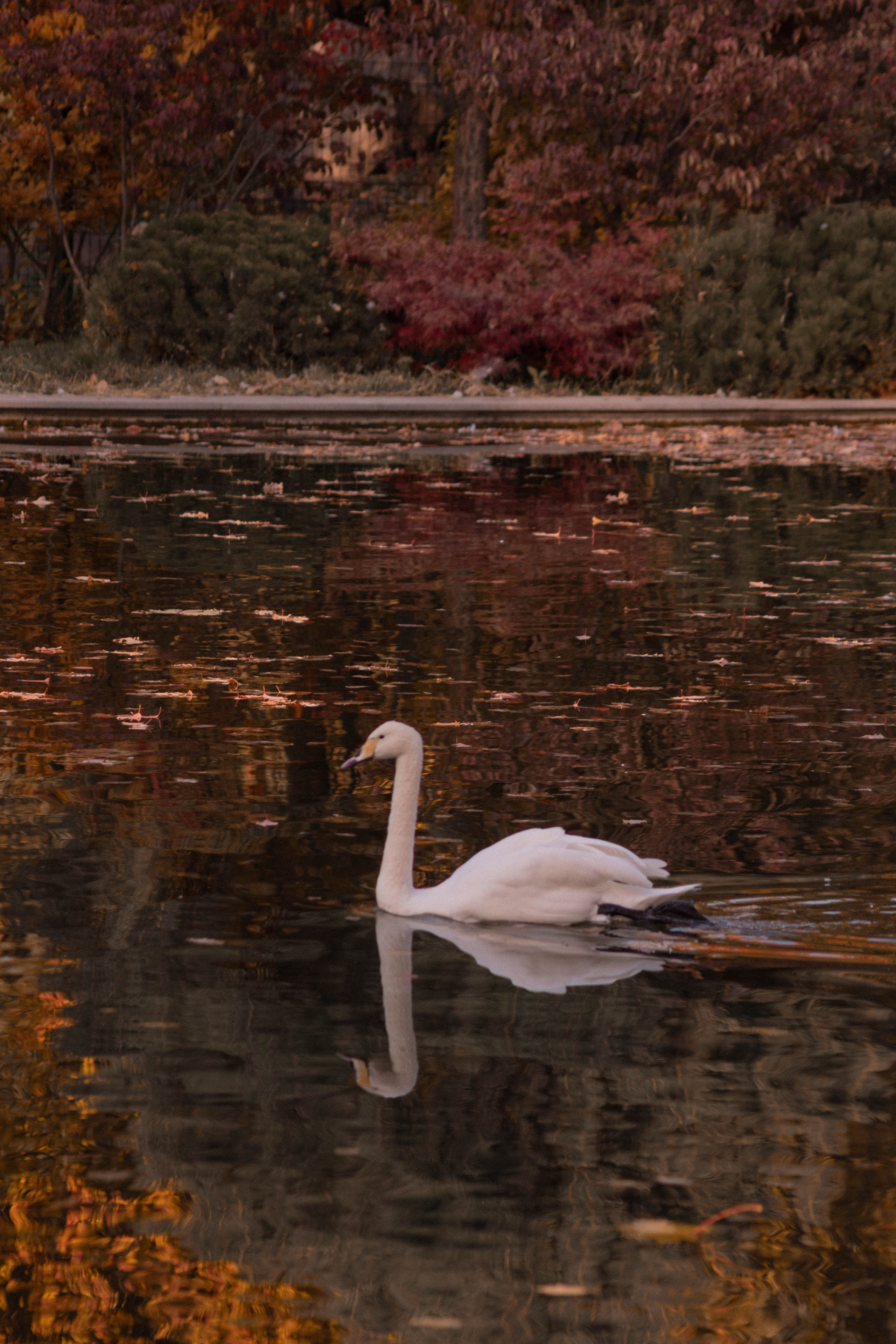 Визуальный дневник. Репортажный фотограф в Алматы Цой Сергей