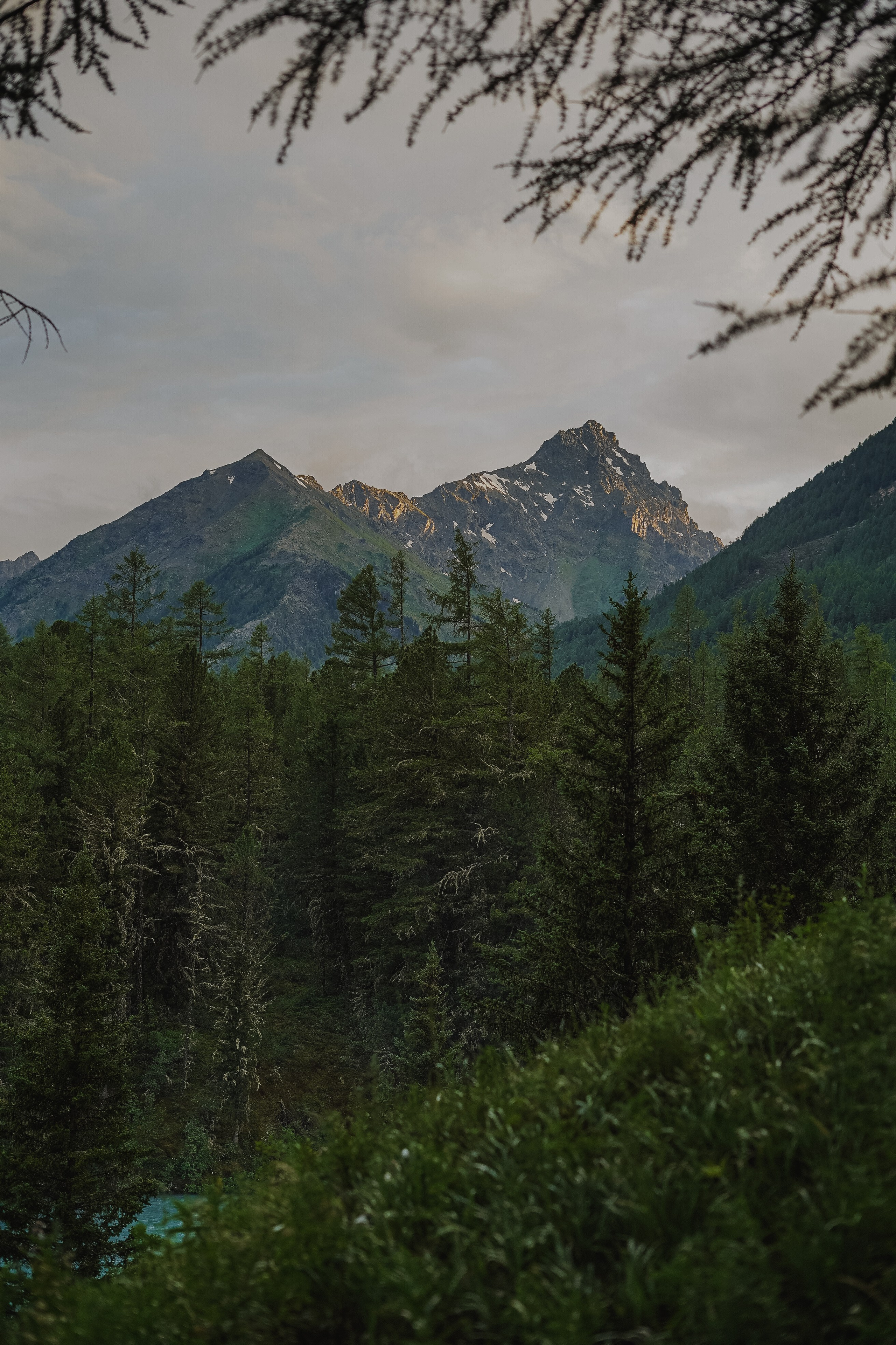 Алтай, поход к Белухе 2023. Фотограф Ольга Пучкова