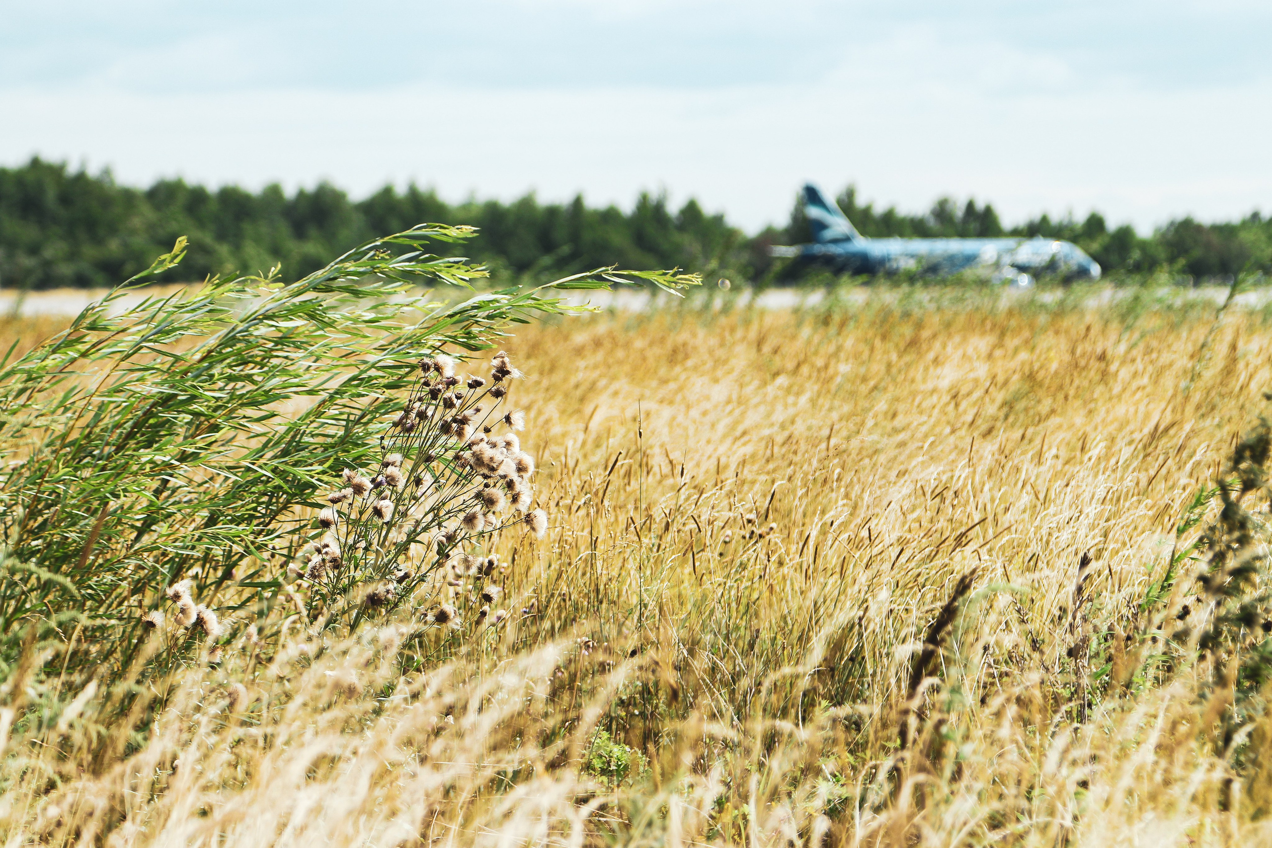 Споттинг аэропорт Хабаровска. Алиса Томшина — Фотограф / Видеограф