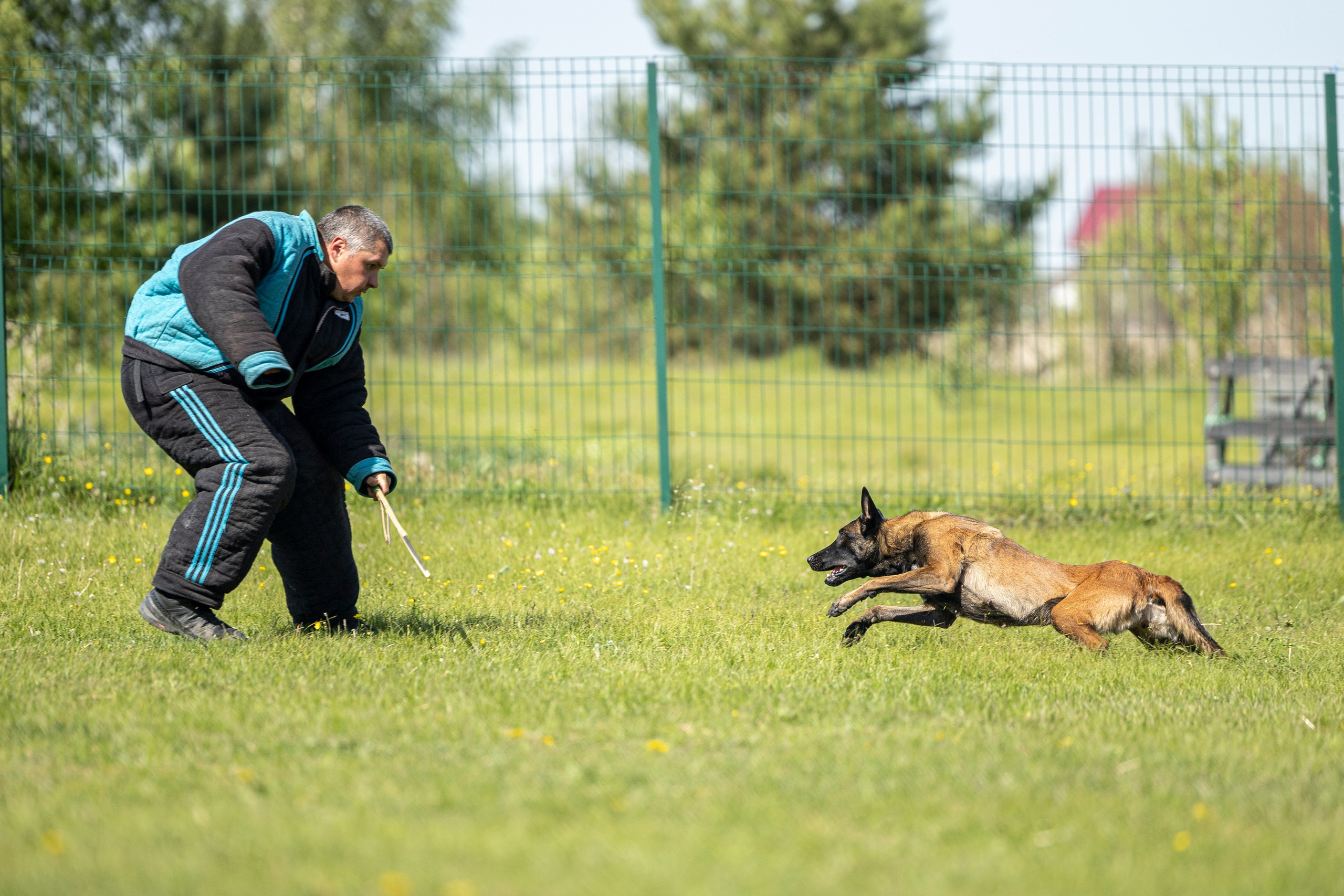 Испытания по мондьорингу в Нижнем Новгороде. Фотограф-анималист Анна Маринич