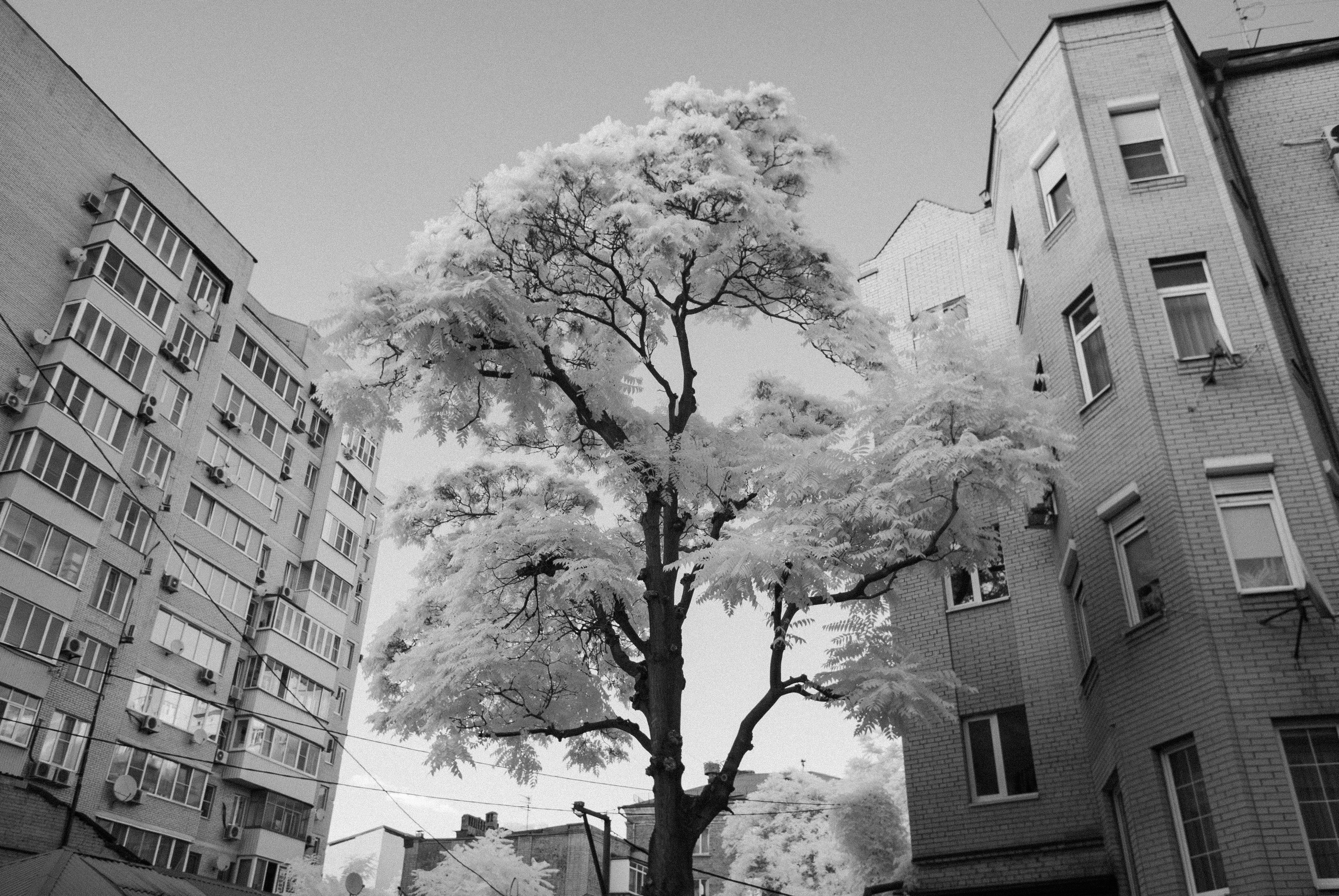 Абстракция/ИК-фото. Оператор/Фотограф в Ростове-на-Дону