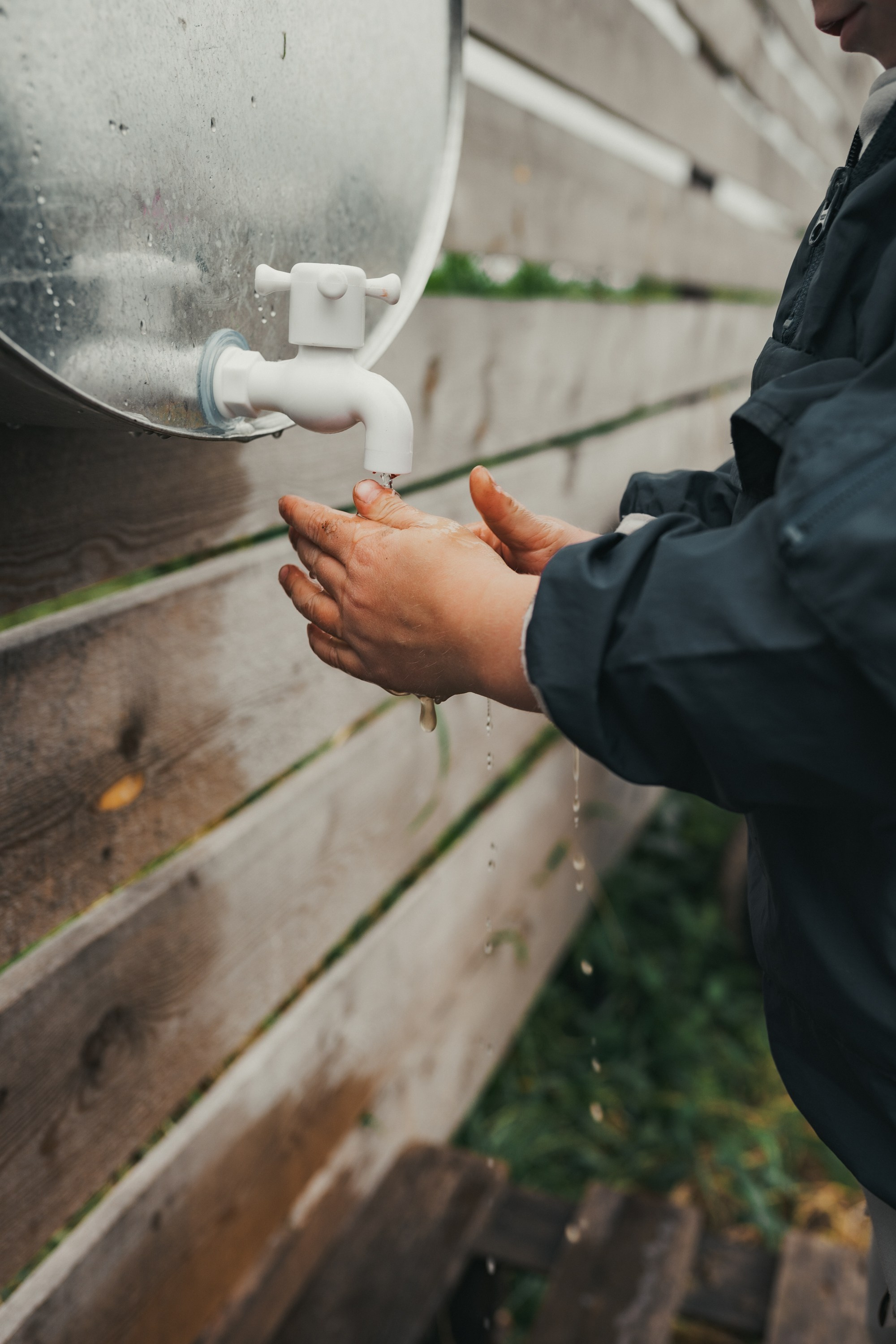 «Малиновое поле», открытие сезона. Фотограф Ольга Молева