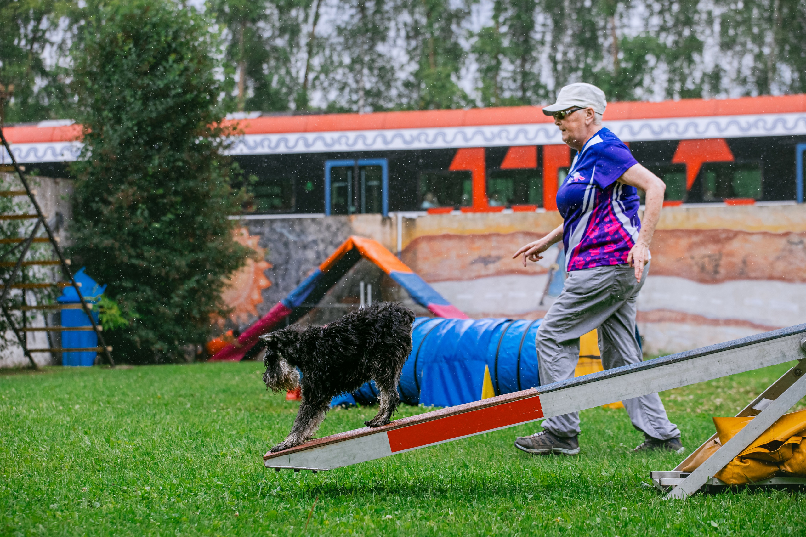 Соревнования по аджилити Долгопрудный 30.06.2025. Фотограф-анималист Татьяна Степанова