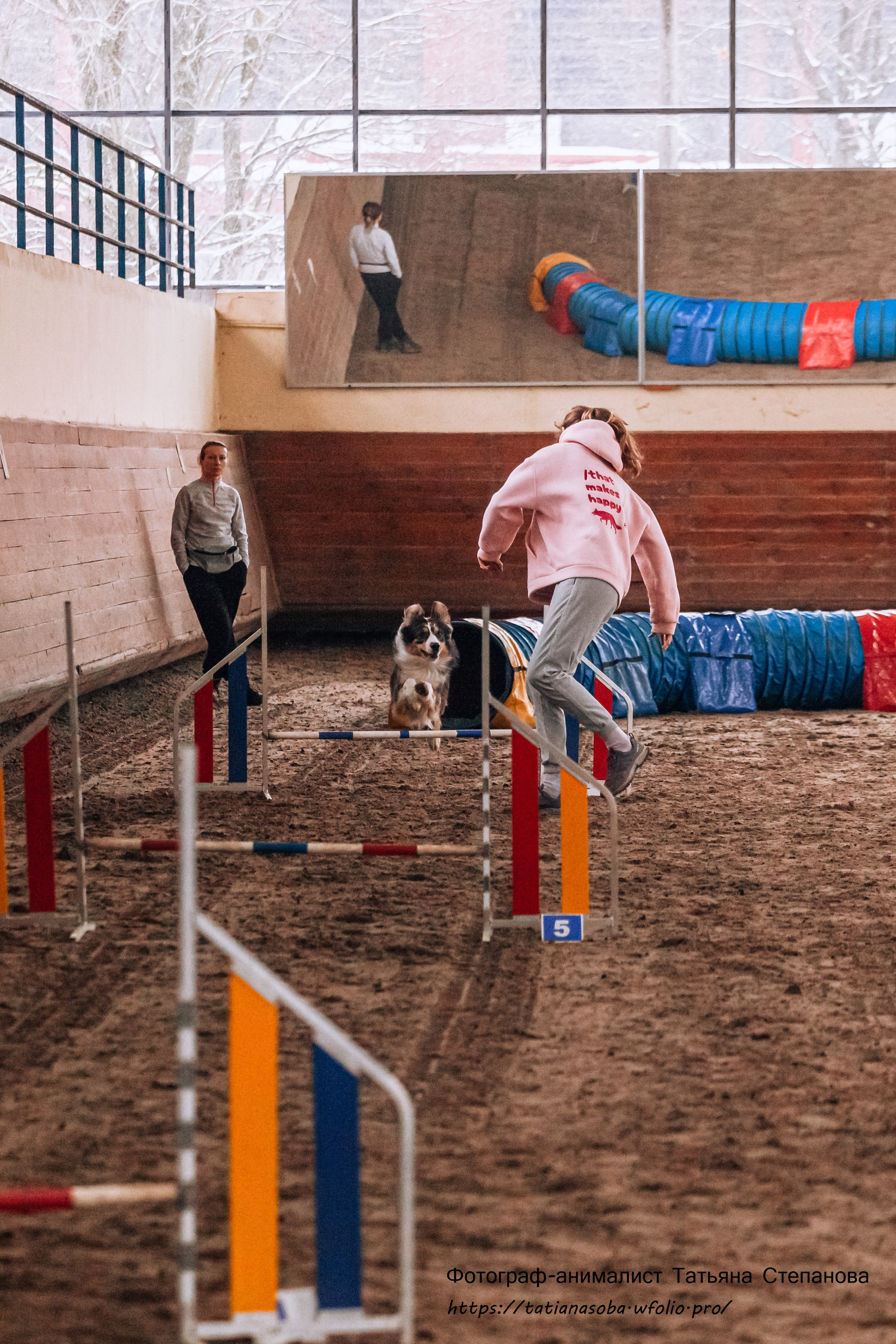Соревнования по Аджилити 25.02.2024. Фотограф-анималист Татьяна Степанова
