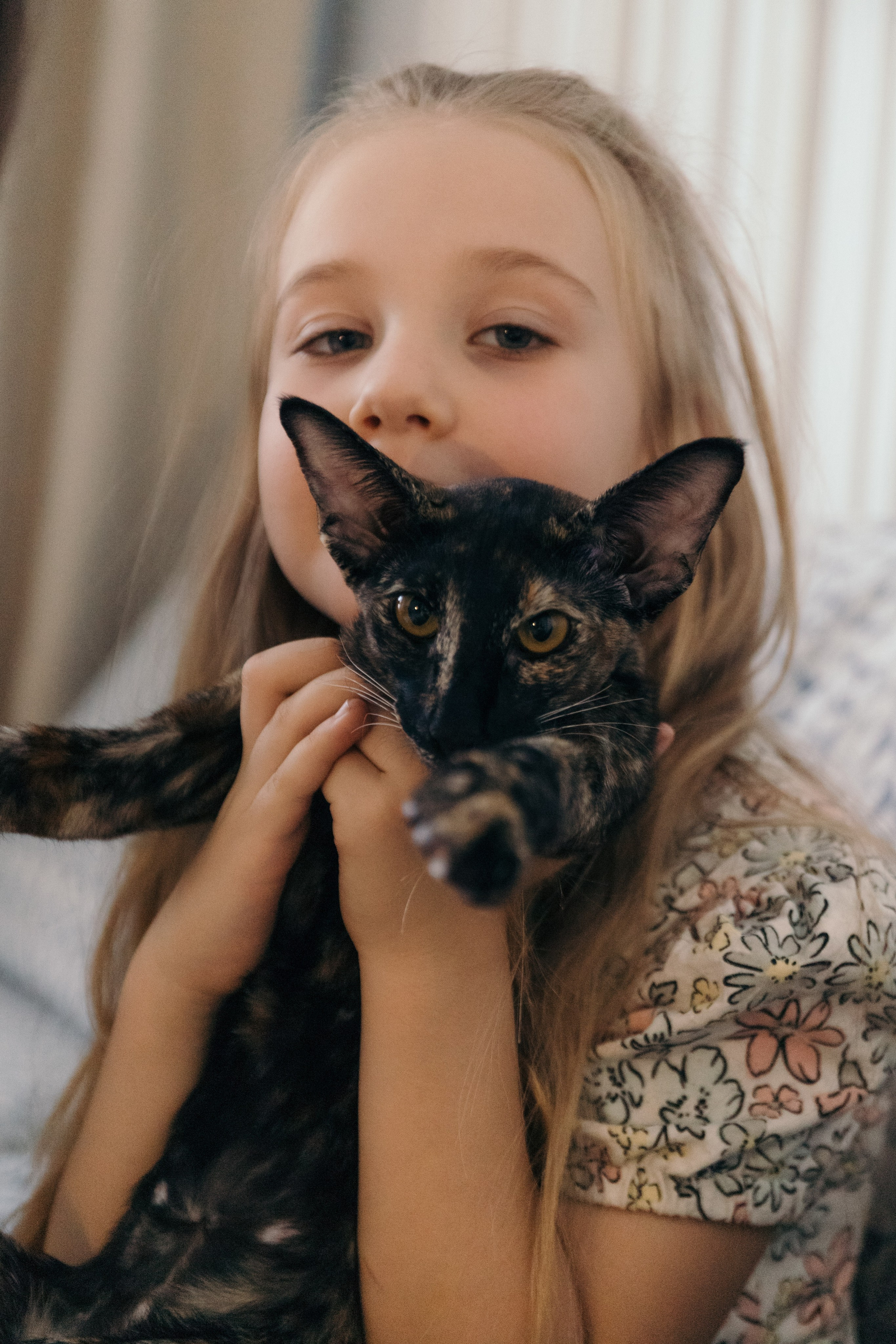 Семья и кошки. Фотограф Елена Балакина (Челябинск)