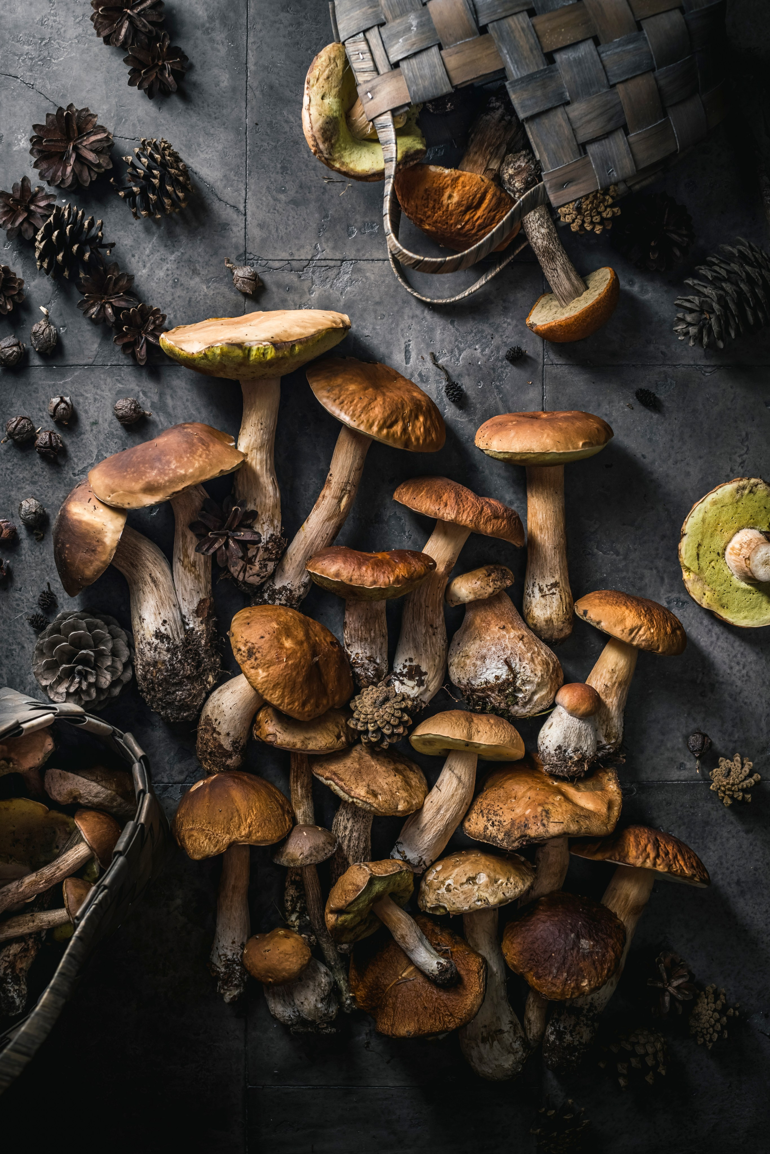 Mushrooms stories. Foodie Stories (гастрономические истории) рекламная фуд-фотосъёмка, Москва