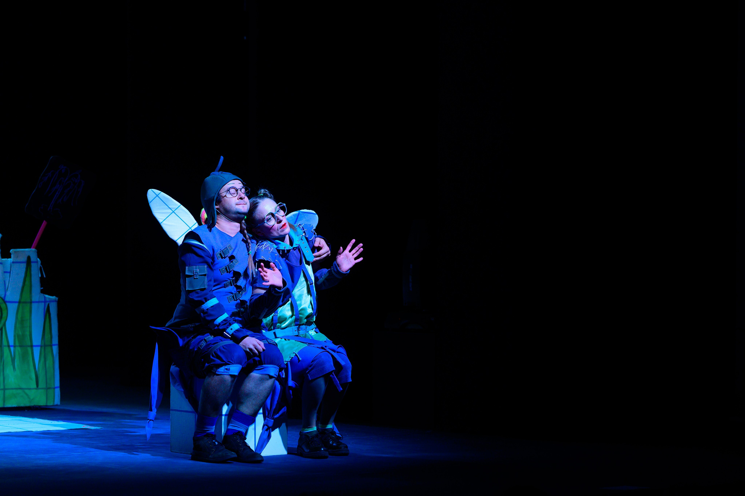 Муха Цокотуха. Фотоуслуги, услуги фотографа, фотографирование важных событий