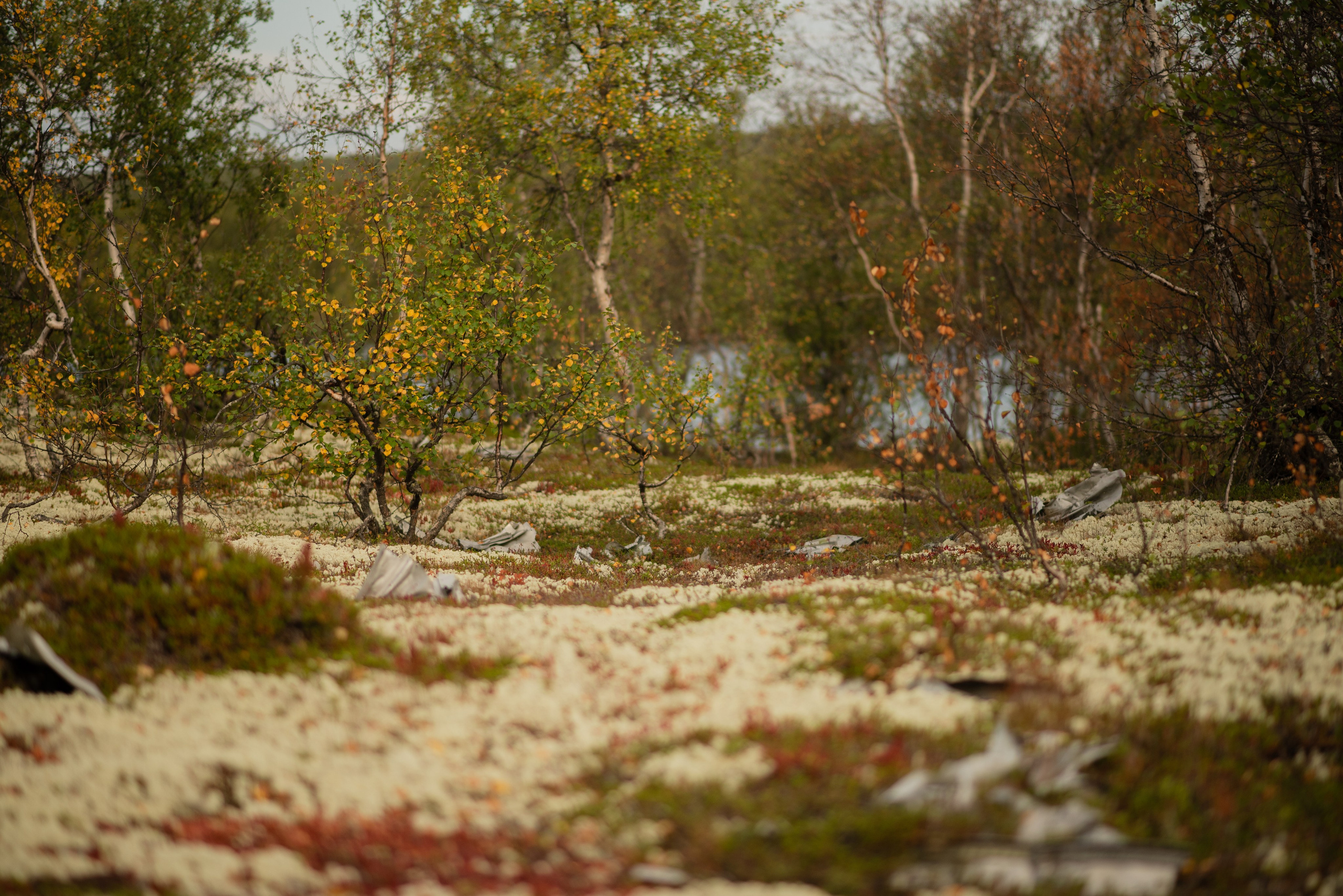 Заполярье. Мурманская область. Поселок Луостари. Река Титовка. Озеро Вайявр. Гора Нармвара. 18–28 августа 2024 г. Юлия Щёкотова | Портретный и семейный фотограф | Вологда