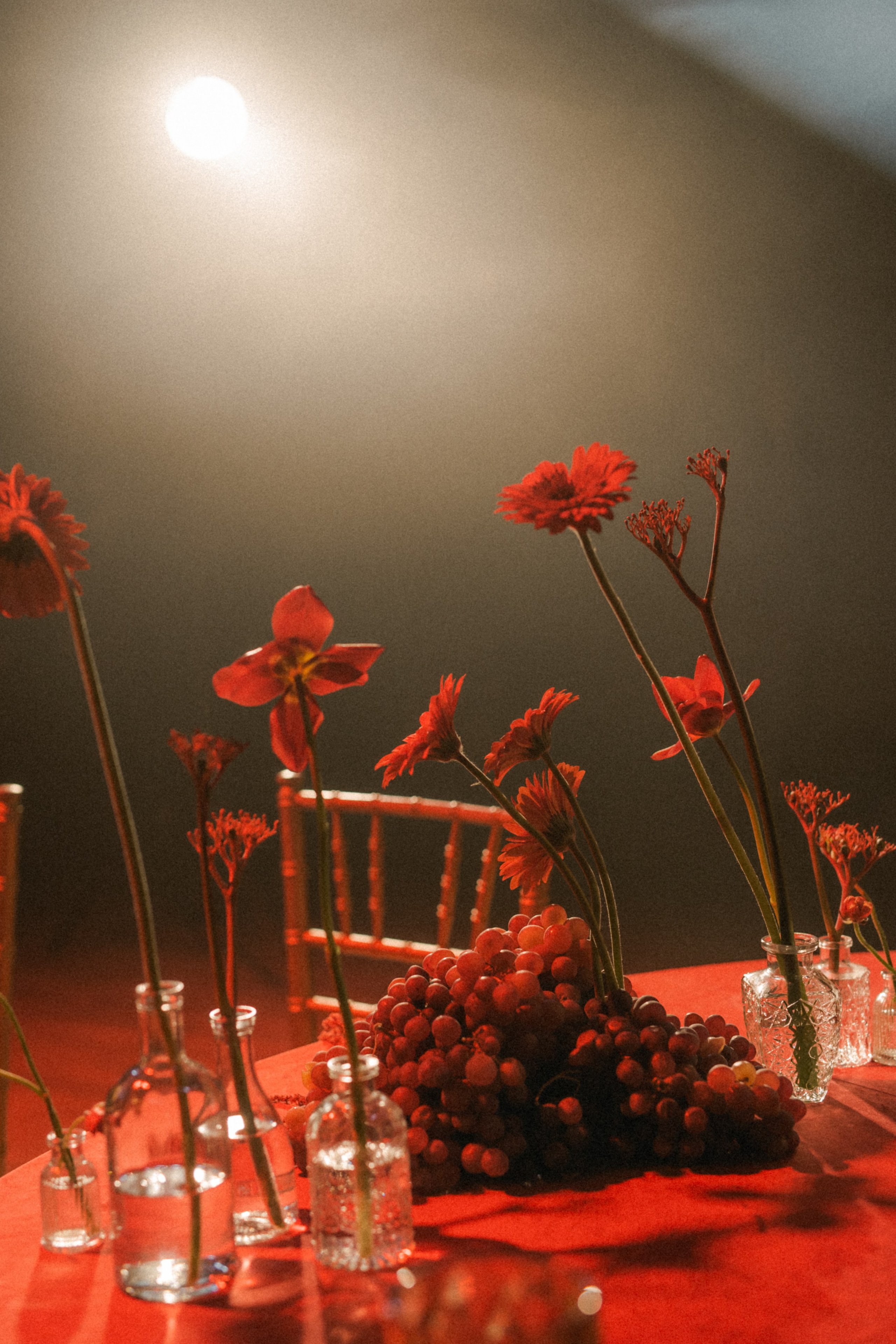 Красивая свадьба в Красном цвете. Свадебный фотограф в Краснодаре и по всему ЮФО и Миру Ольга Гусева