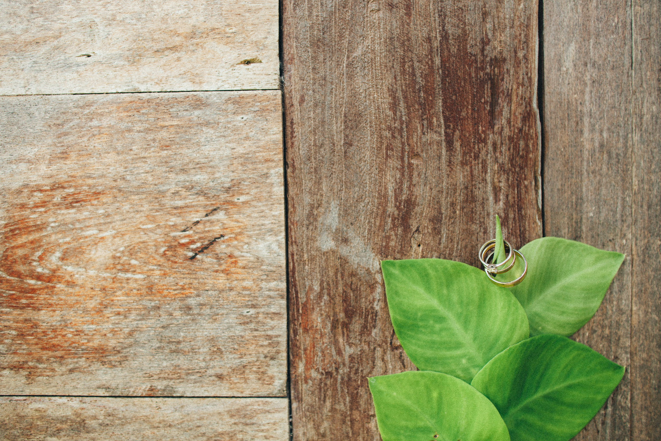 Jane-and-yri. Wedding photographer in Bali