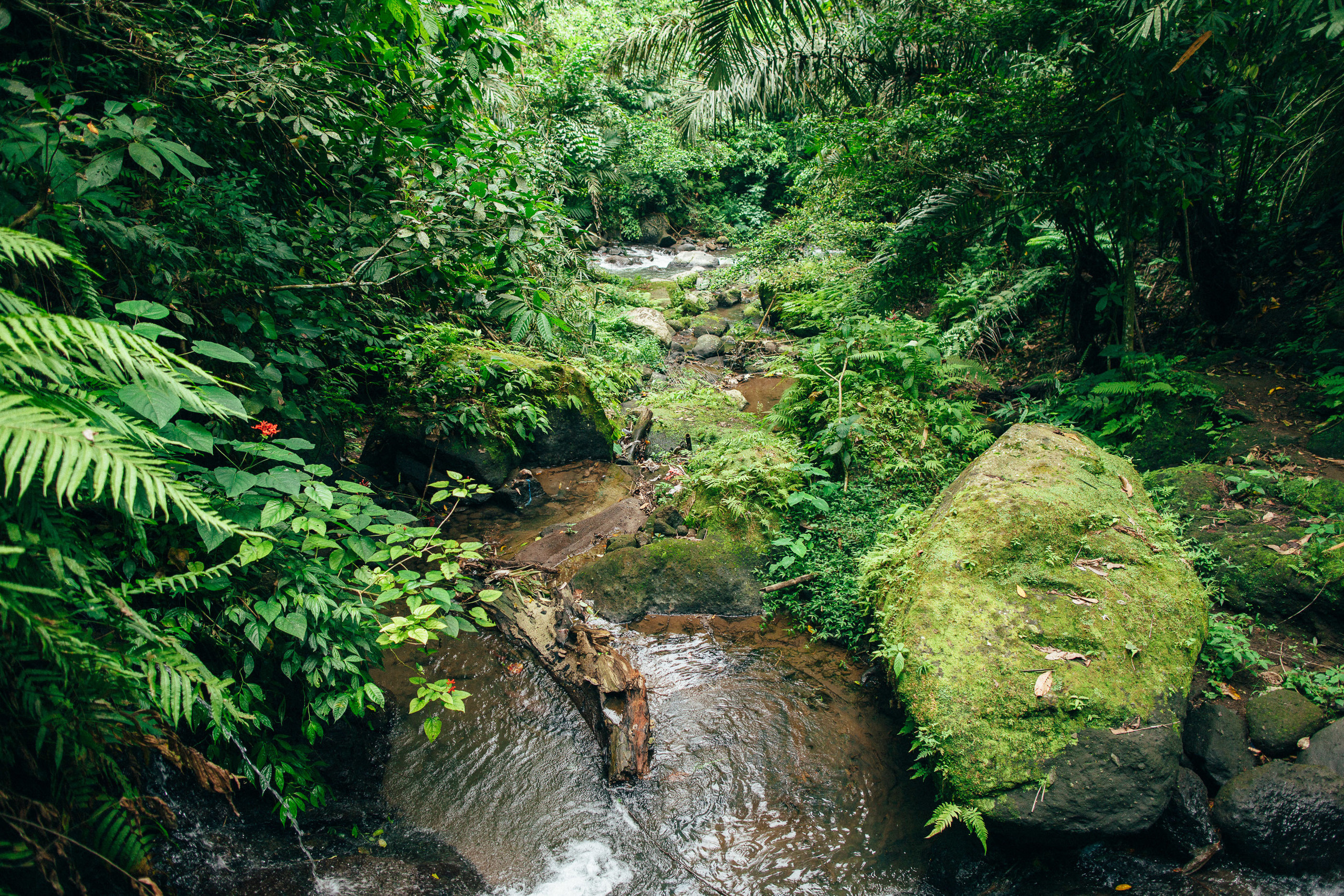 Oly and Andry. Wedding photographer in Bali