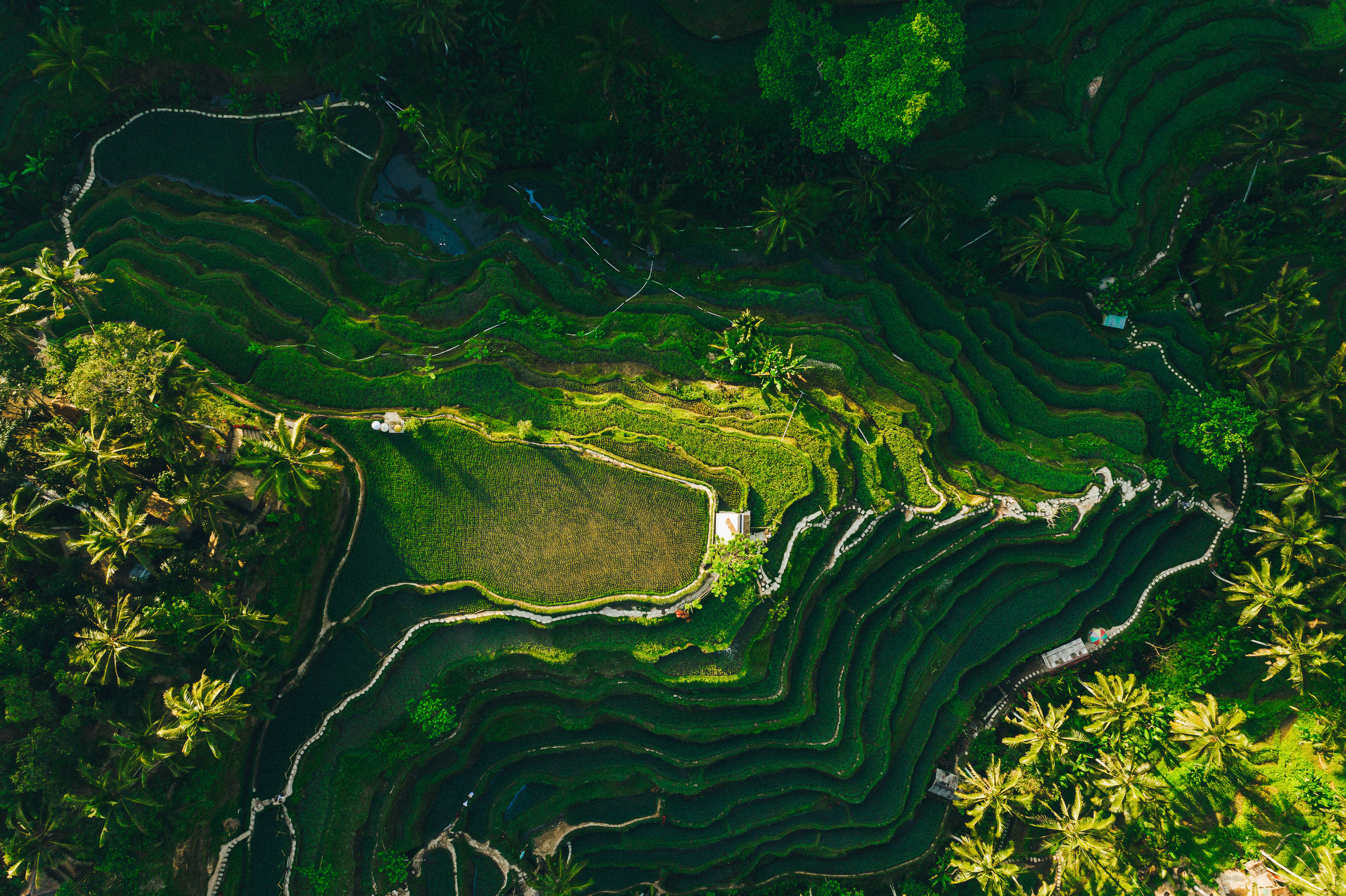 Jene and Alex. Фотограф Бали